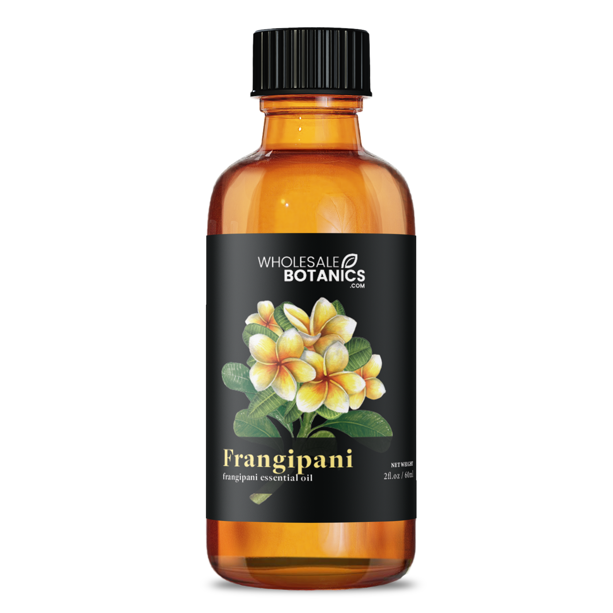 Frangipani Oil