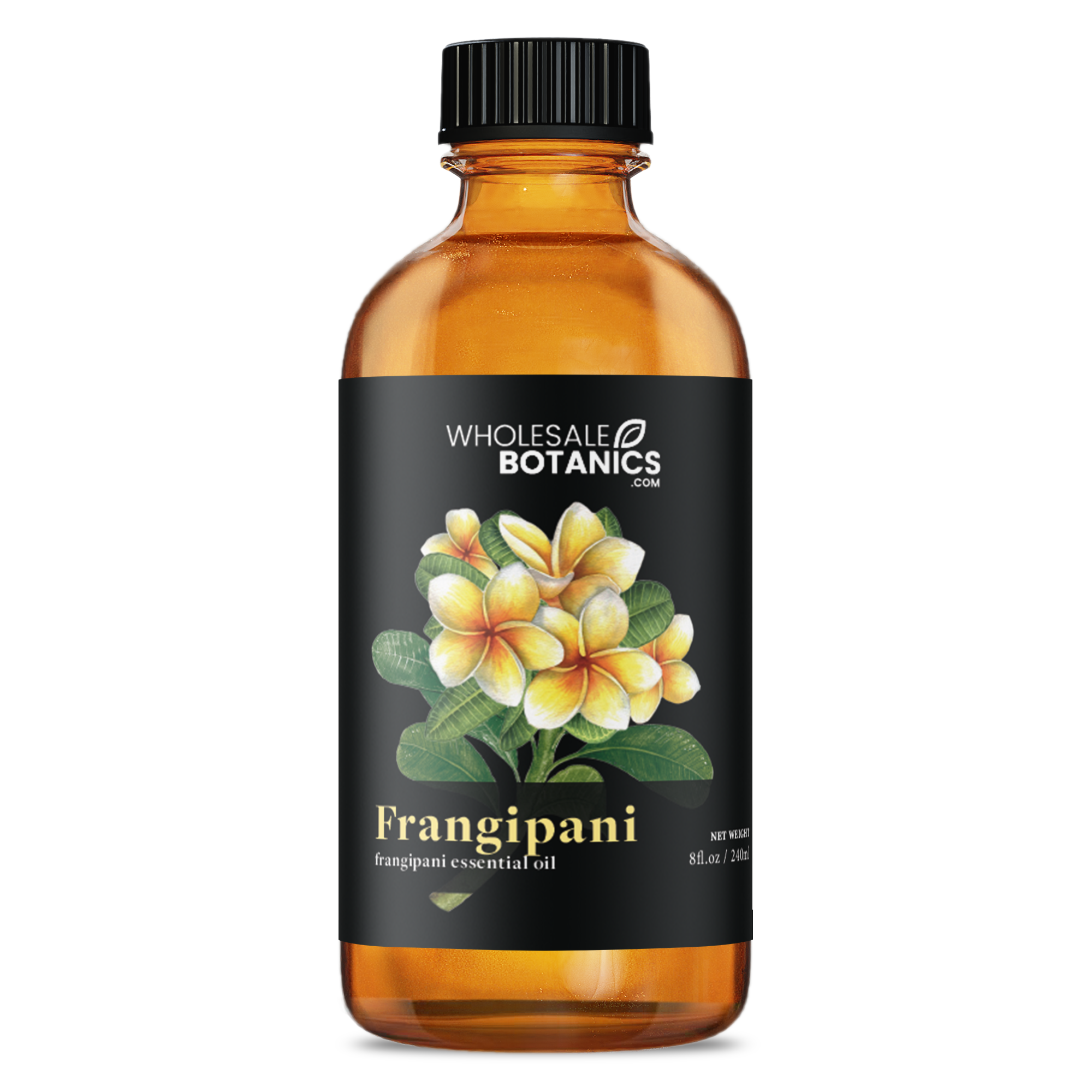 Frangipani Oil