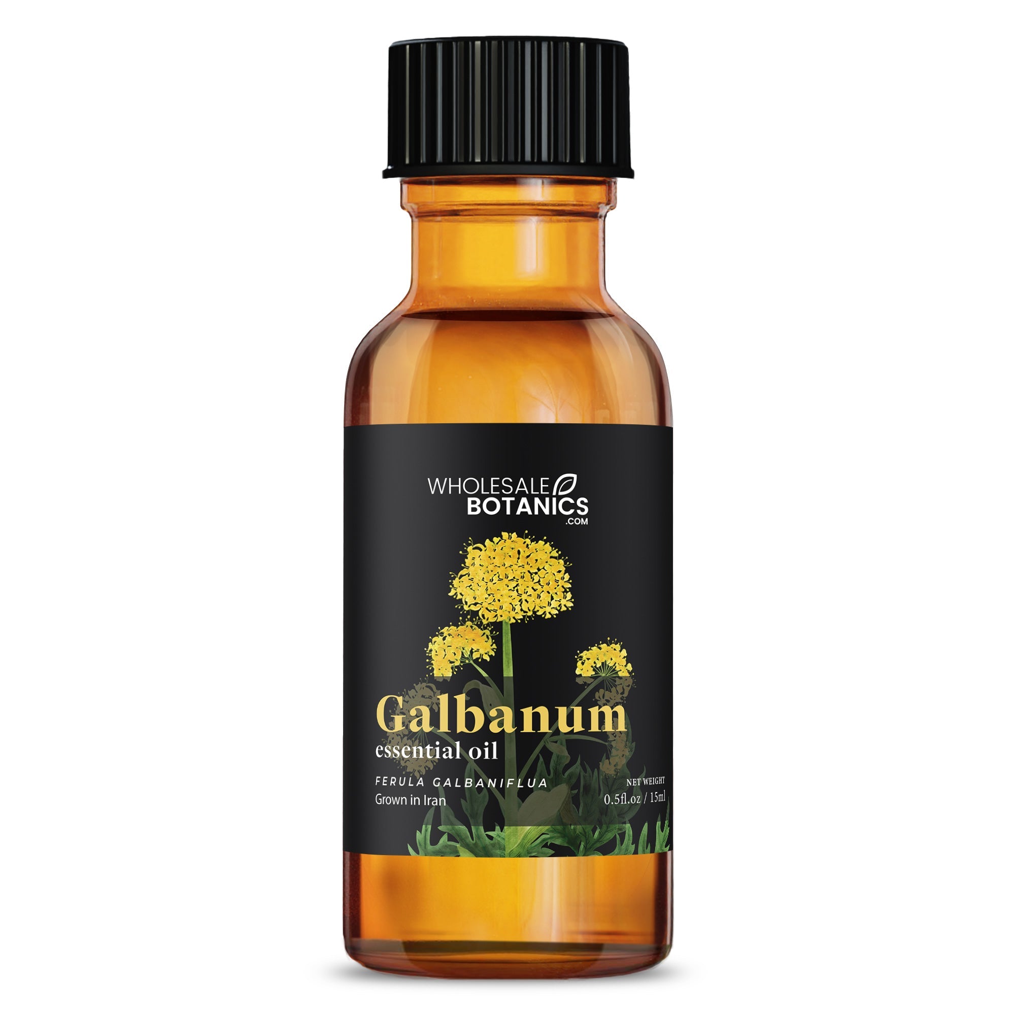 Galbanum Essential Oil