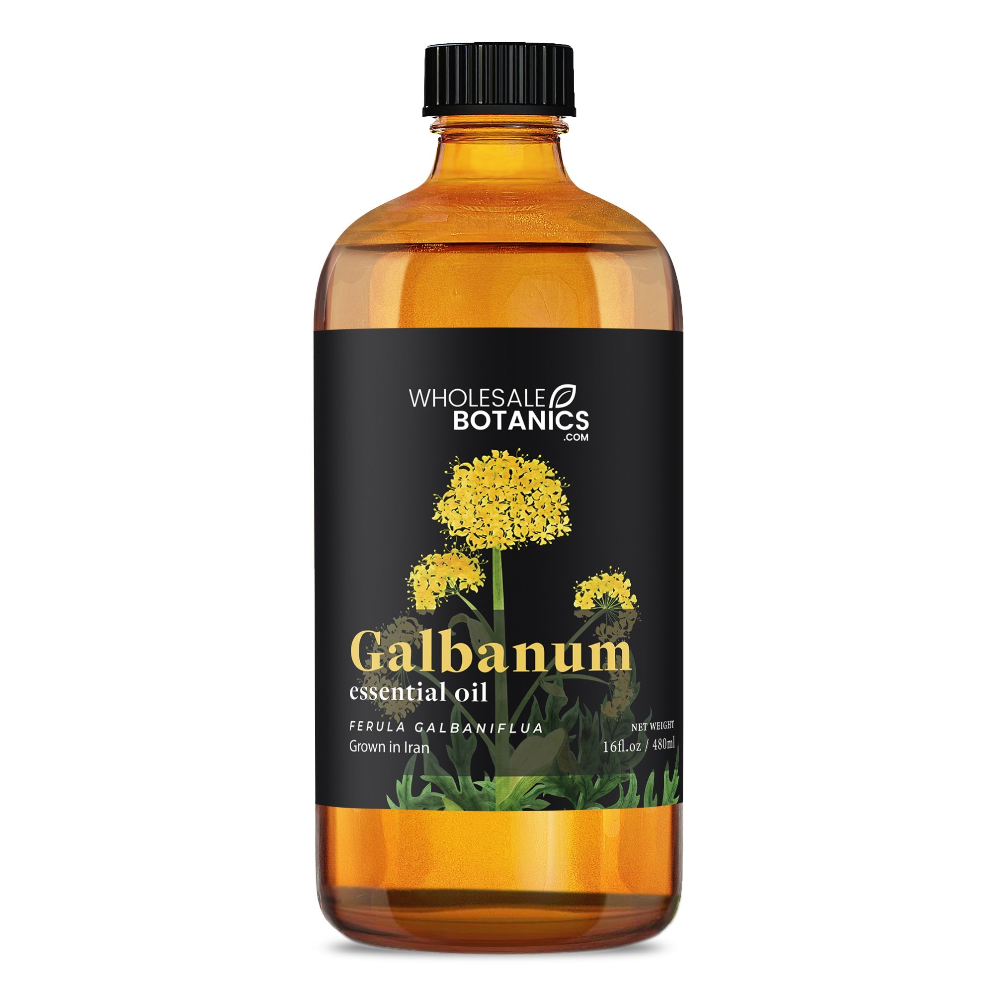 Galbanum Essential Oil
