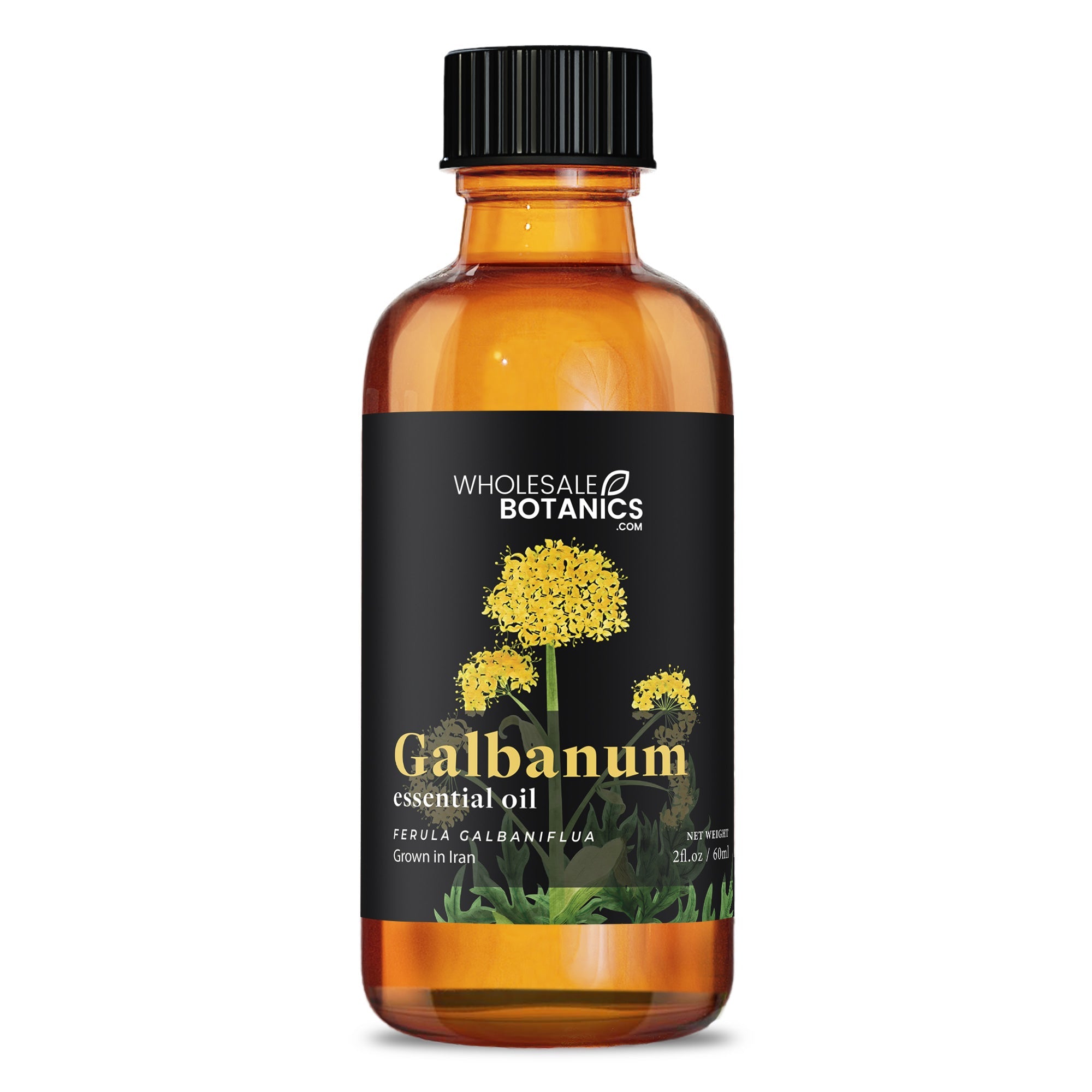 Galbanum Essential Oil
