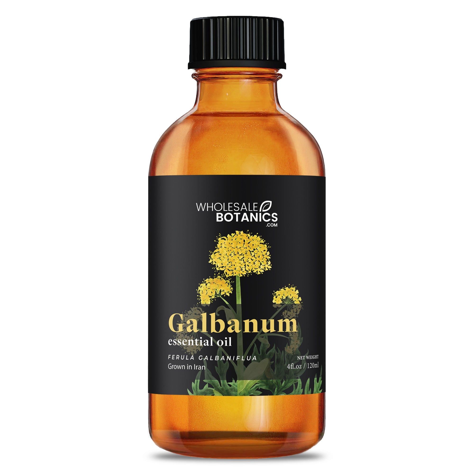 Galbanum Essential Oil