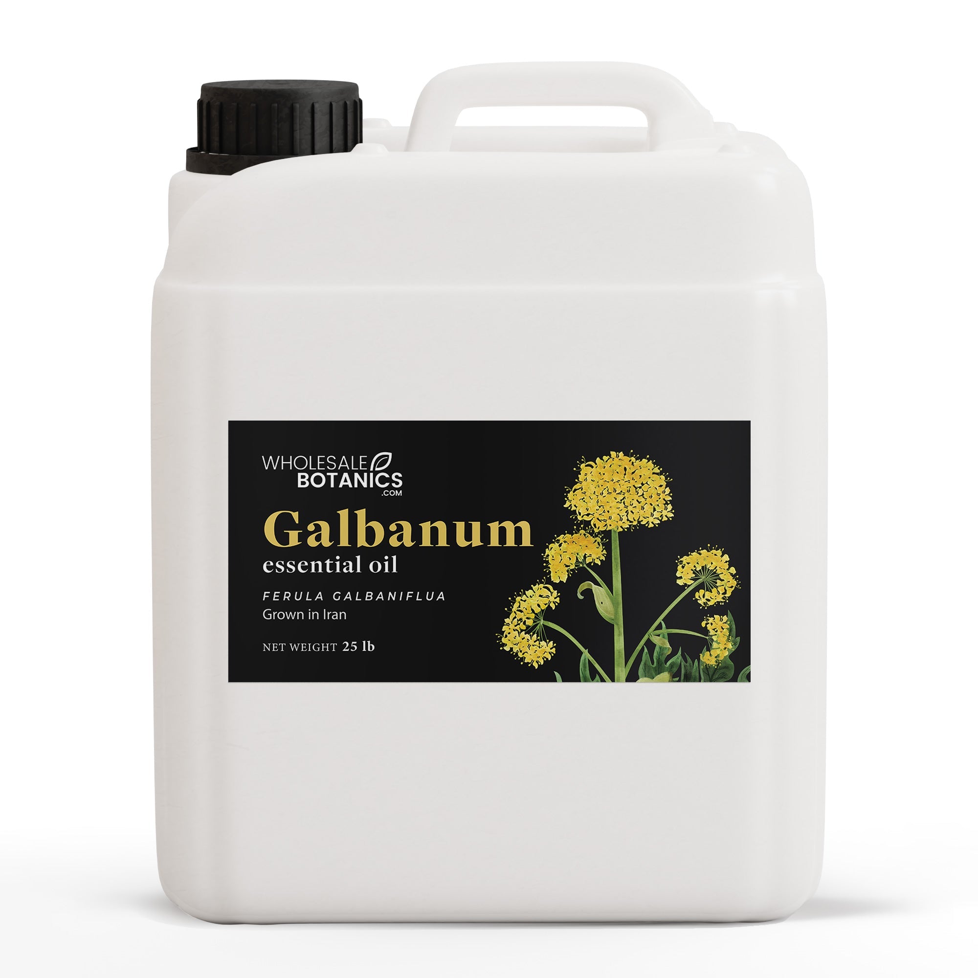 Galbanum Essential Oil