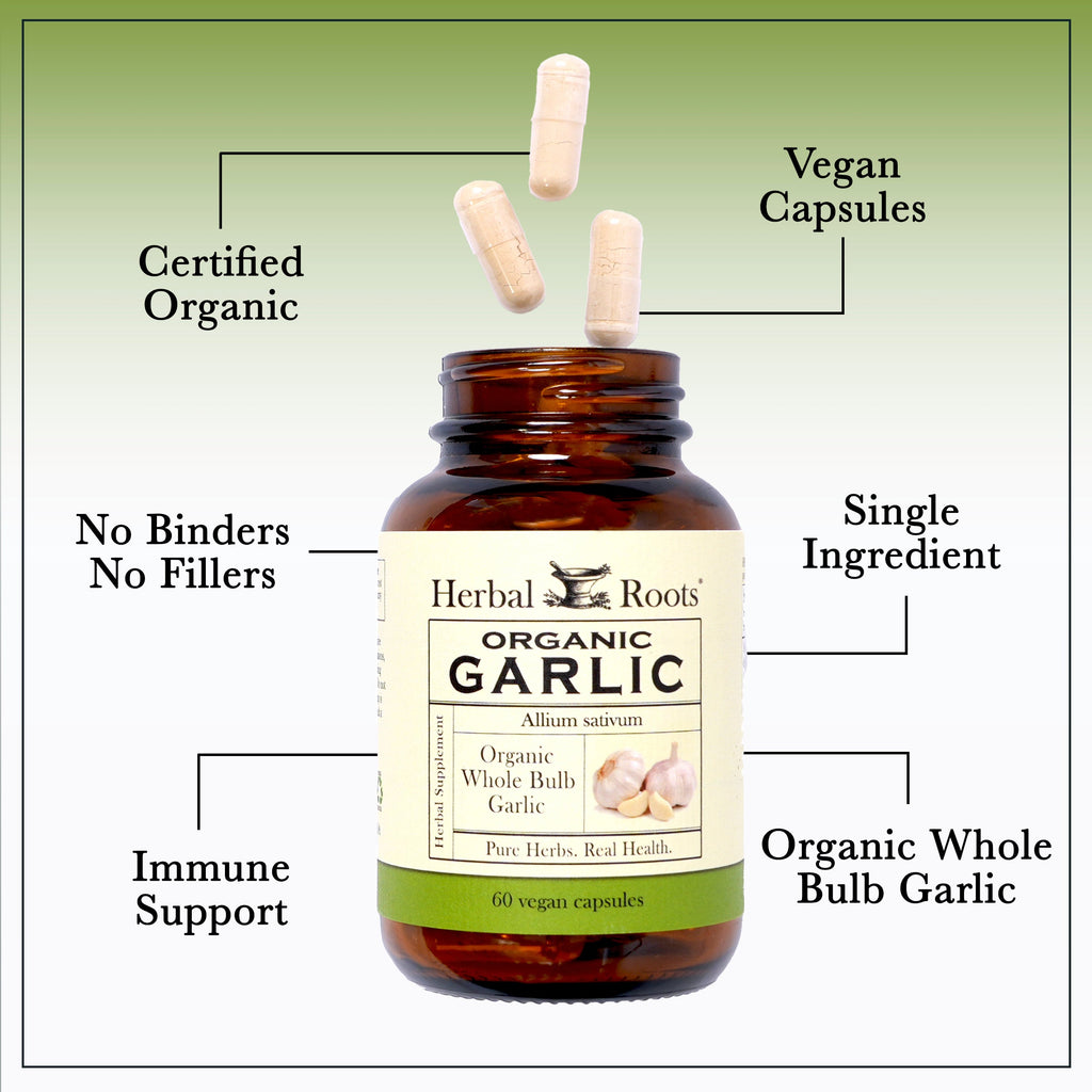 Organic Whole Bulb Garlic