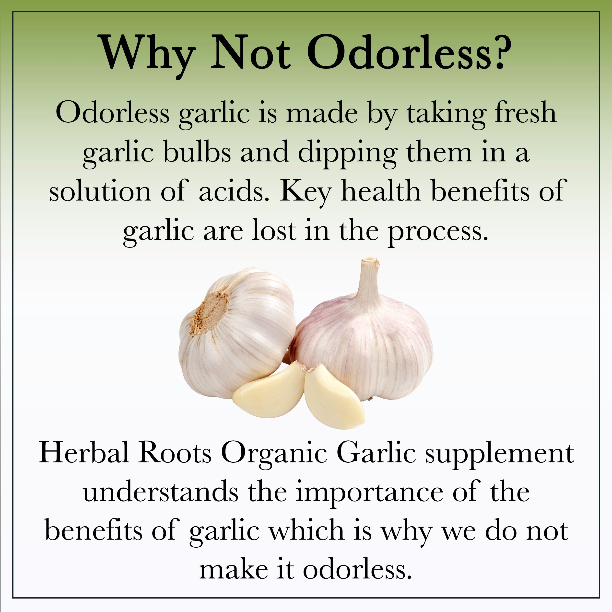 Organic Whole Bulb Garlic