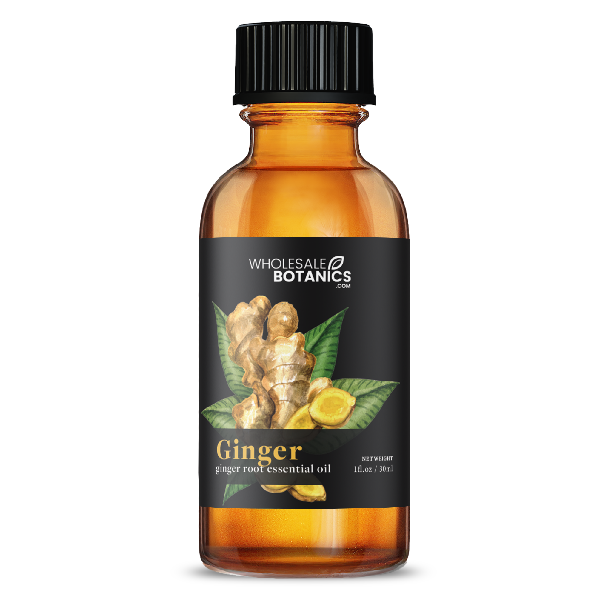 Ginger Root Essential Oil
