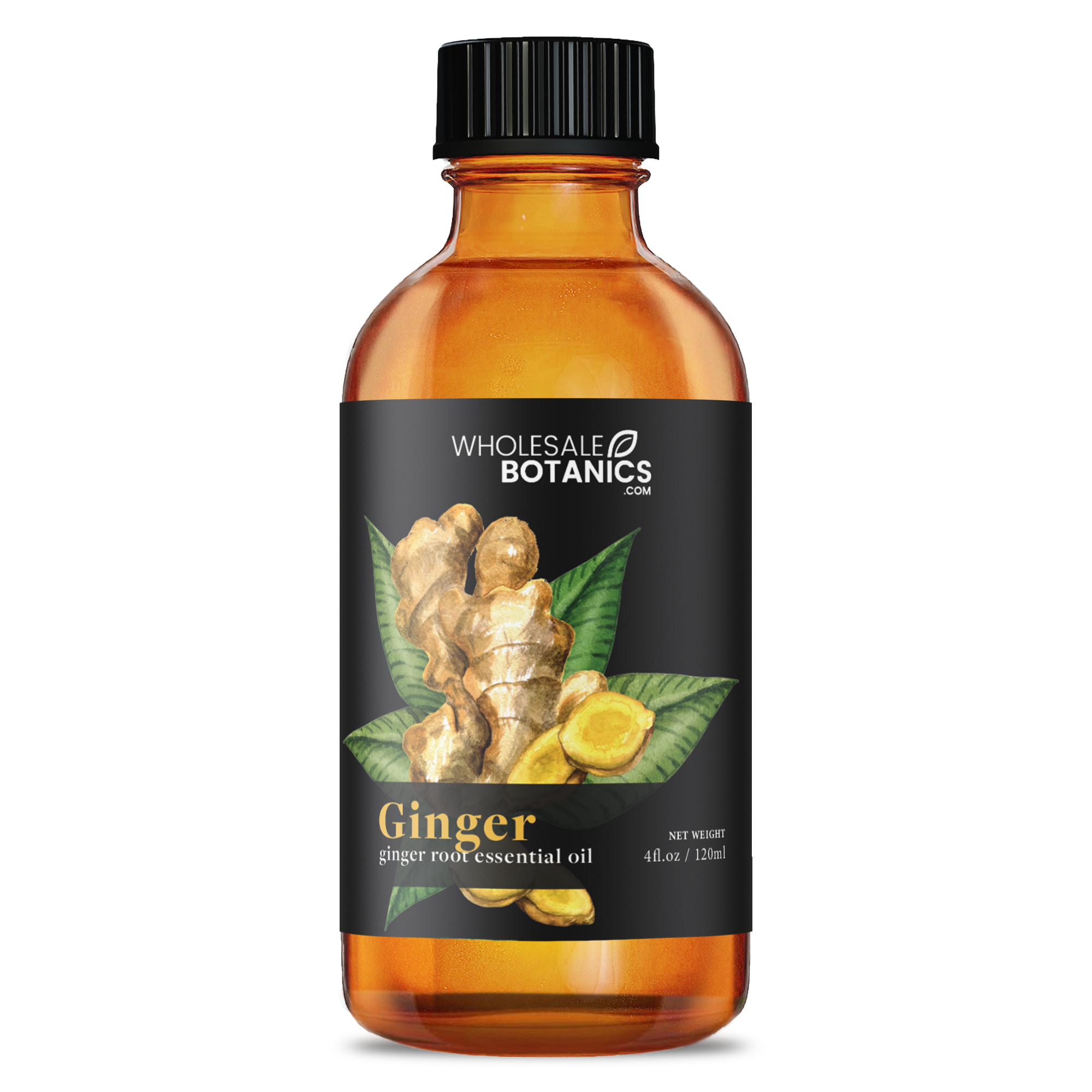 Ginger Root Essential Oil