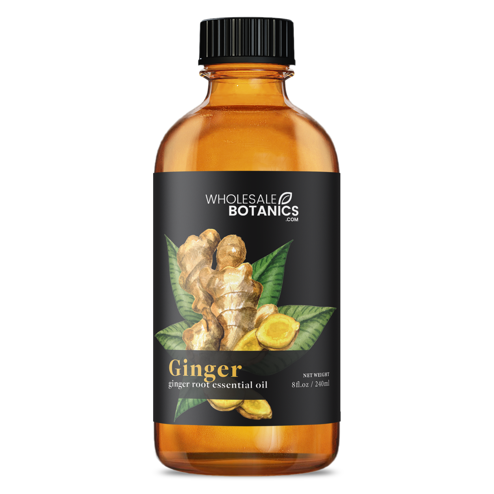 Ginger Root Essential Oil