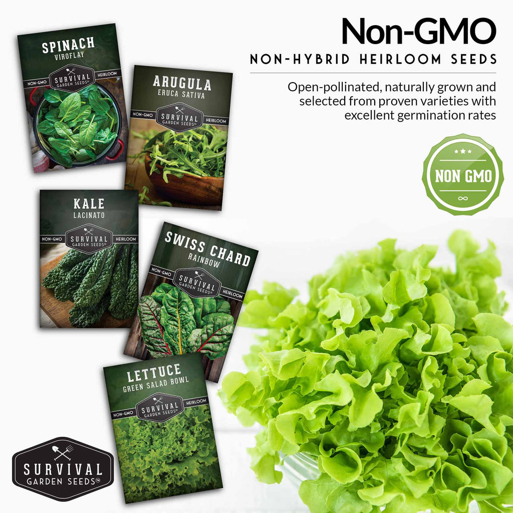 Greens Seeds Collection – 5 Heirloom Leafy Superfoods for Year-Round Growing Indoors or Outdoors