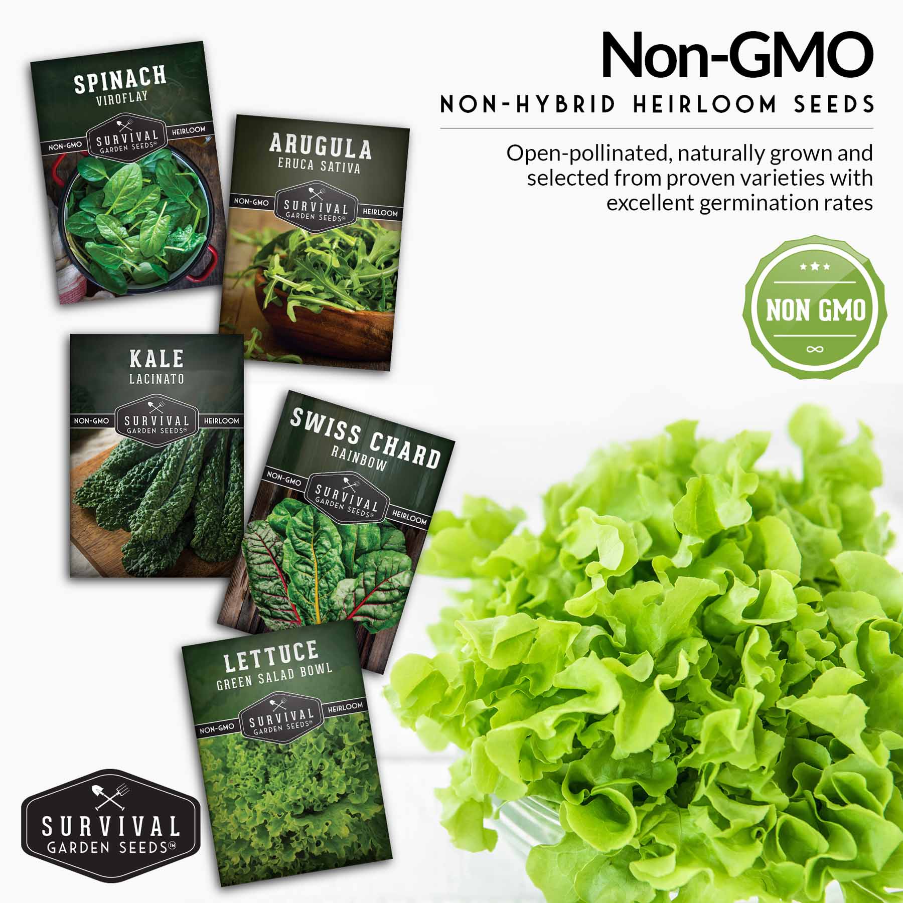 Greens Seeds Collection – 5 Heirloom Leafy Superfoods for Year-Round Growing Indoors or Outdoors