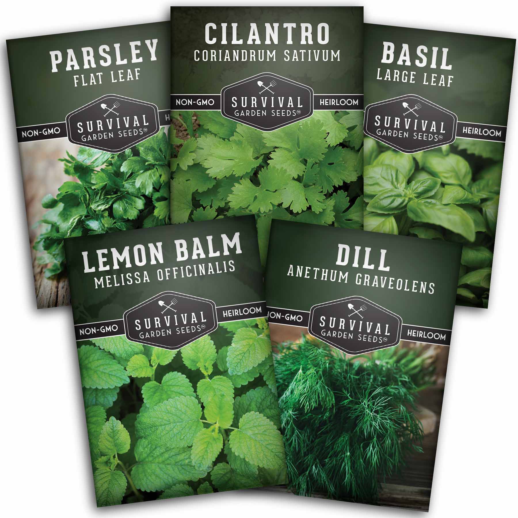 Herb Seeds Variety Pack – 5 Essential Culinary Herbs for Indoor or Outdoor Growing (Basil, Cilantro, Dill, Parsley & Lemon Balm) – Heirloom Non-GMO Garden Starter Kit