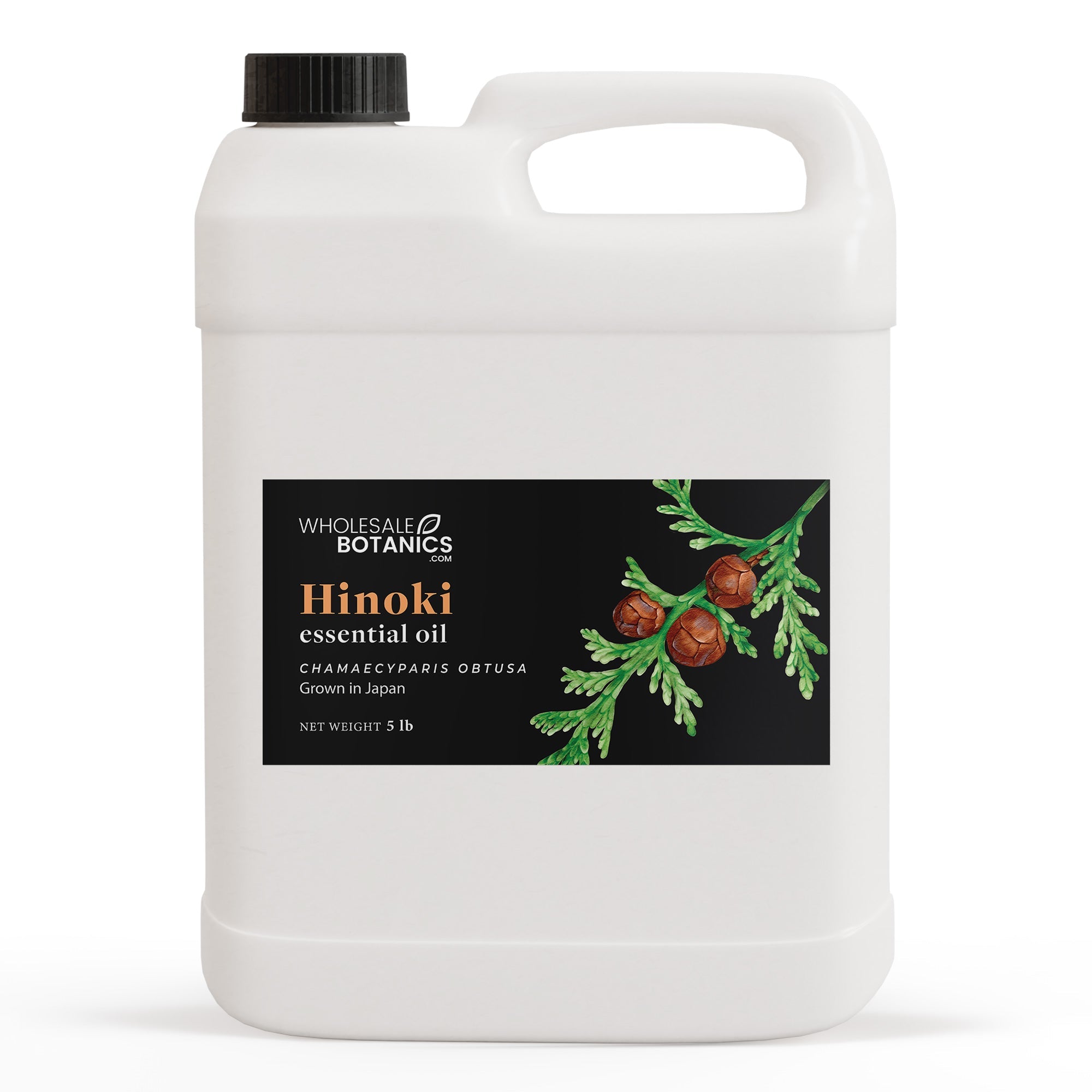 Hinoki Essential Oil