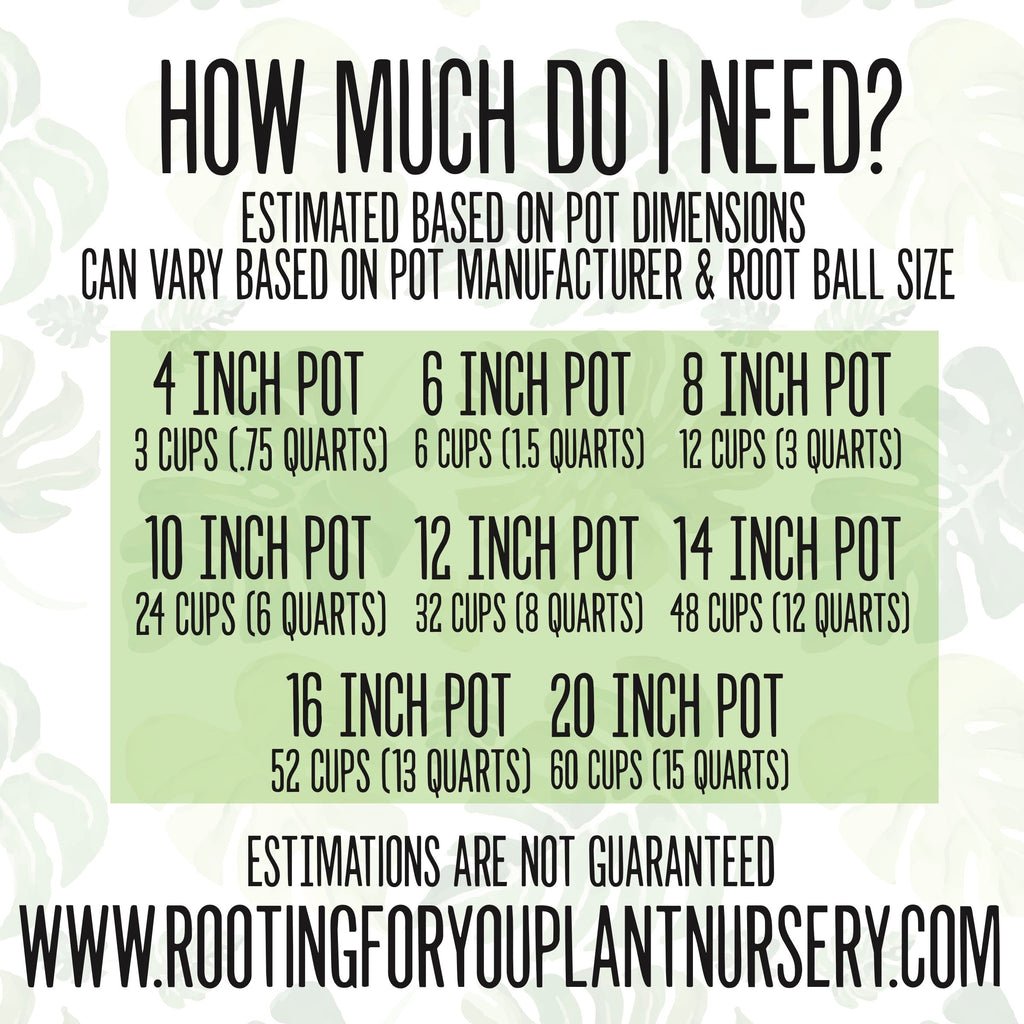 Olive Tree Premium Potting Mix