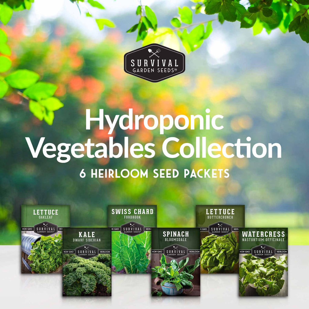 Hydroponic Vegetable Seeds Kit – 6 Heirloom Leafy Greens for Aerogardens, Towers & Indoor Year-Round Growing