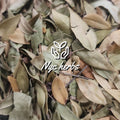 Myrtle Leaf | Antifungal & Anti-Inflammatory Support