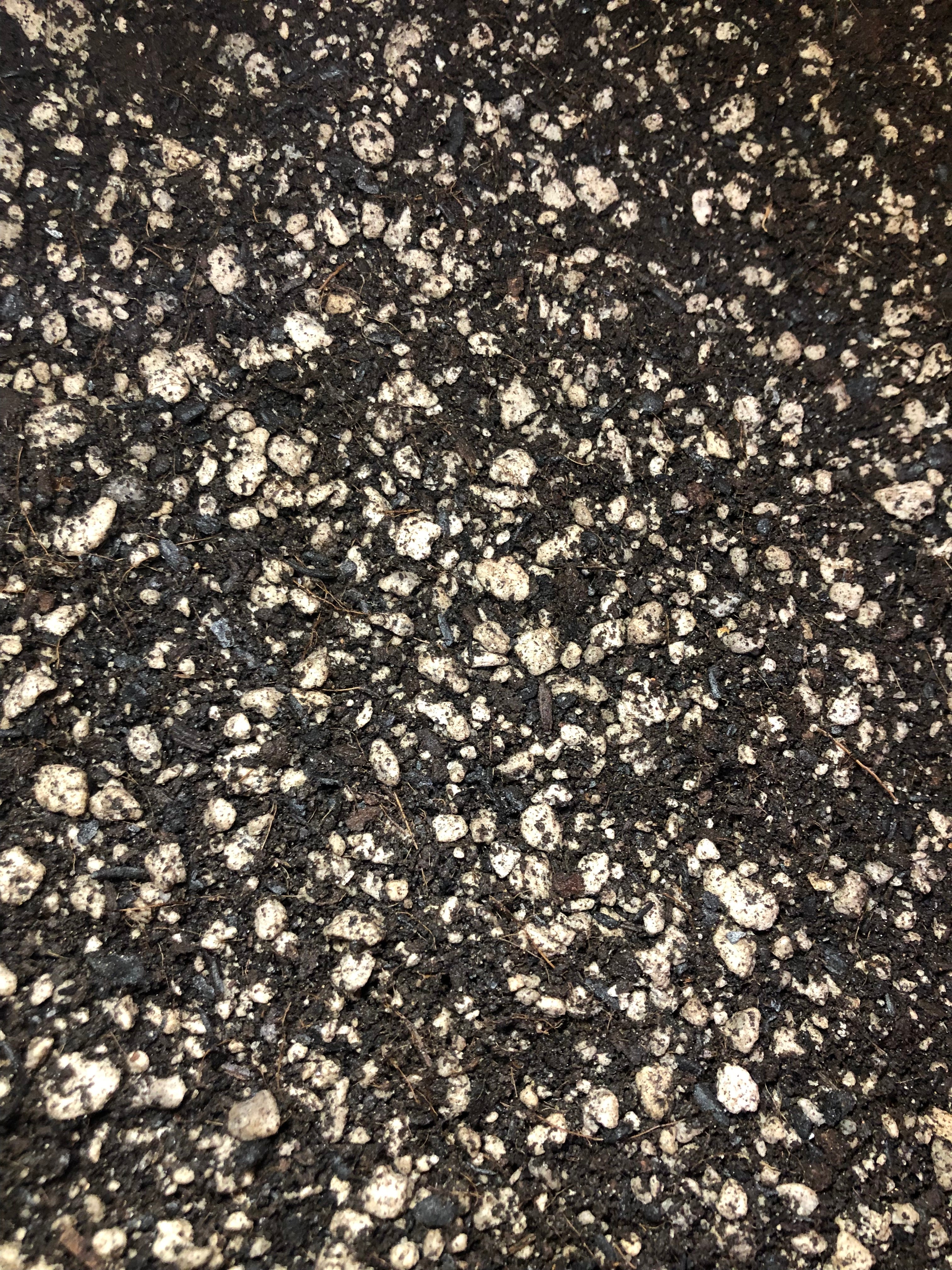 Oxalis Premium Potting Mix