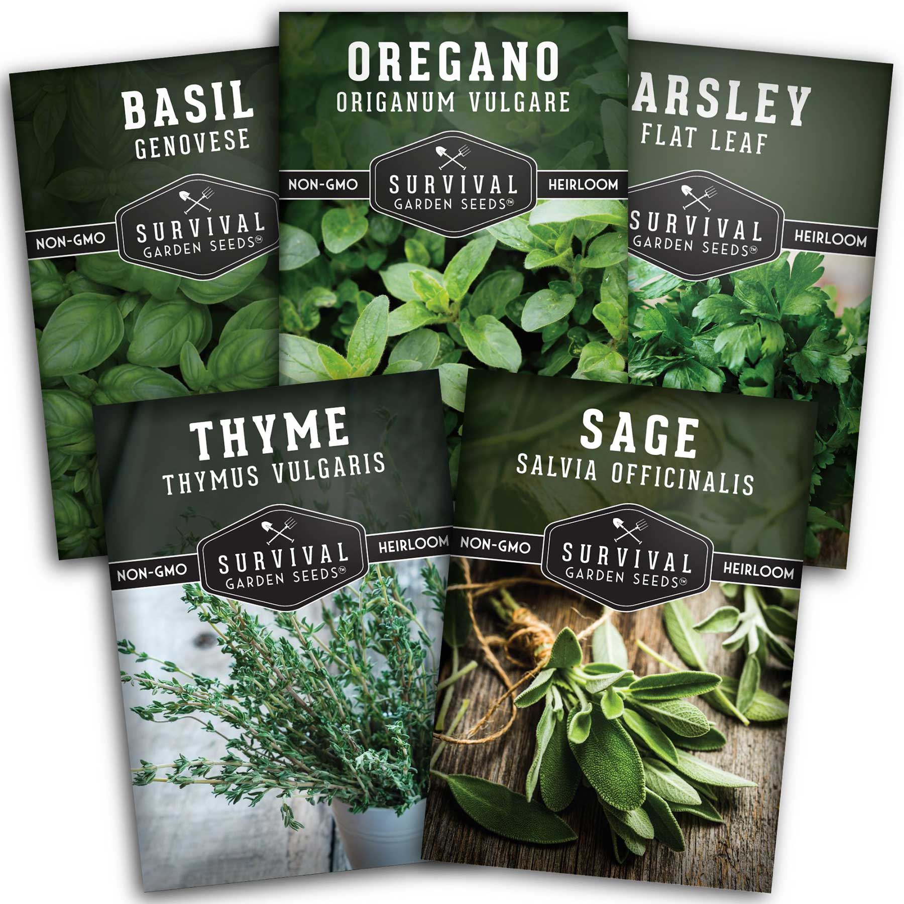Italian Herb Seeds Collection – Genovese Basil, Oregano, Thyme, Sage, and Flat-Leaf Parsley for Indoor or Outdoor Culinary Gardens