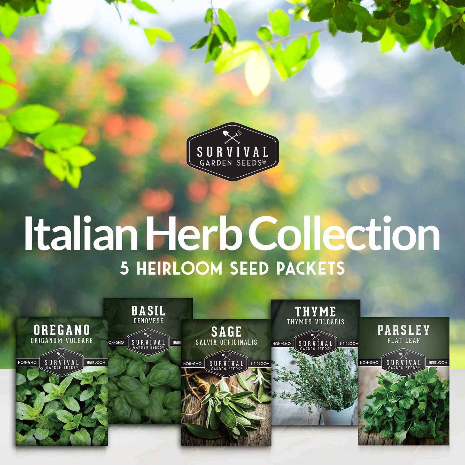 Italian Herb Seeds Collection – Genovese Basil, Oregano, Thyme, Sage, and Flat-Leaf Parsley for Indoor or Outdoor Culinary Gardens