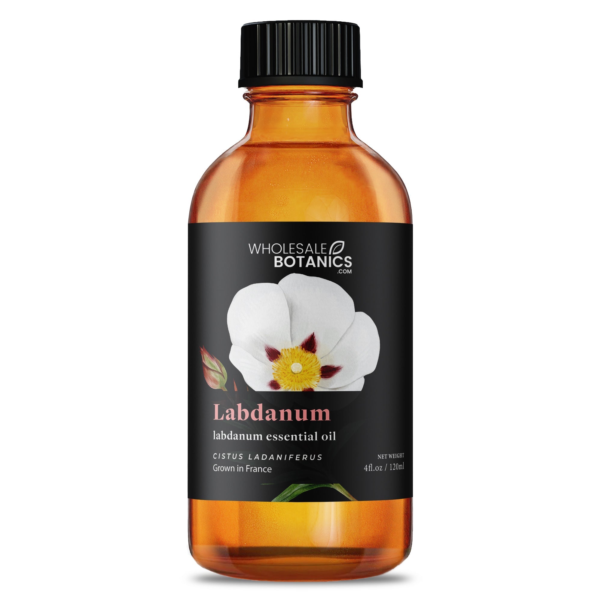 Labdanum Essential Oil