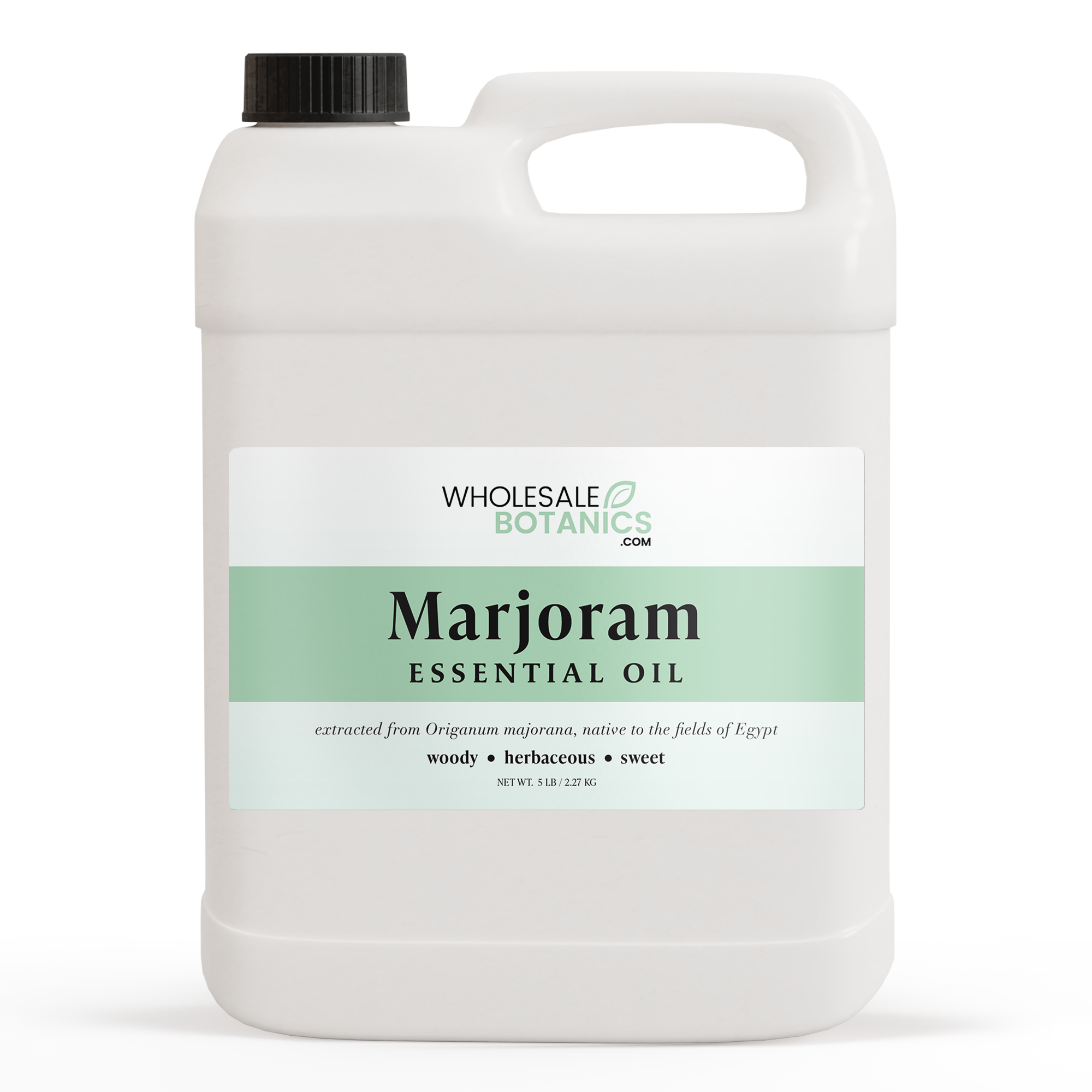 Marjoram (sweet) Essential Oil