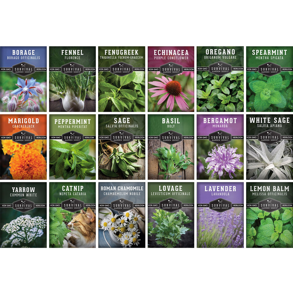 Medicinal Herb Seeds Collection – 18 Heirloom Non-GMO Herbs for Wellness, Tea & Home Apothecary Gardens (Lavender, Chamomile, Echinacea, Peppermint, Sage & More)