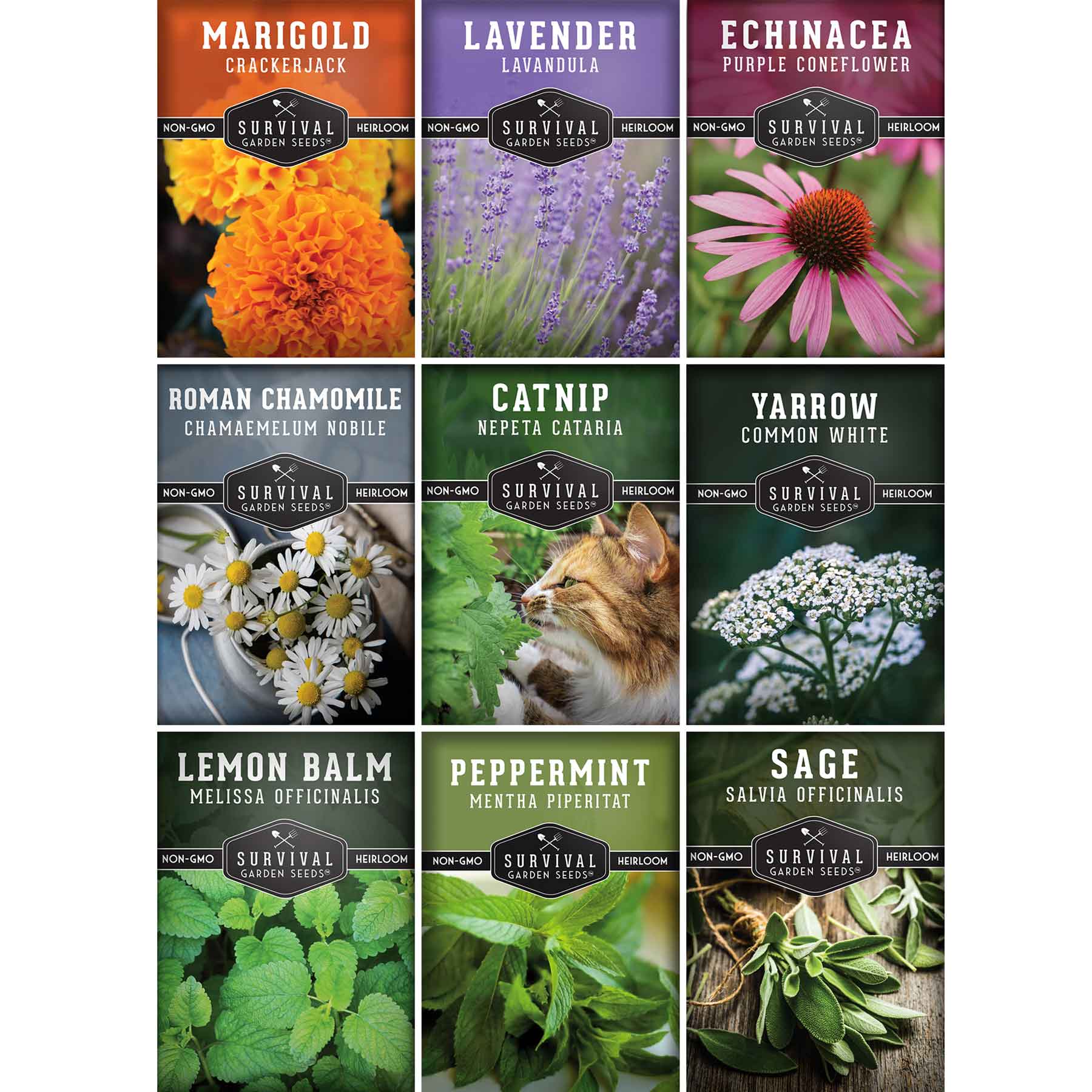 Medicinal Tea Herb Seeds Collection – 9 Heirloom Non-GMO Herbs for Calming Teas, Wellness & Home Apothecary Gardens (Chamomile, Lavender, Peppermint, Sage & More)
