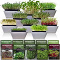 10-Variety Heirloom Microgreen Seed Pack – Non-GMO Seeds for Indoor Growing, Sprouting & Year-Round Nutrition
