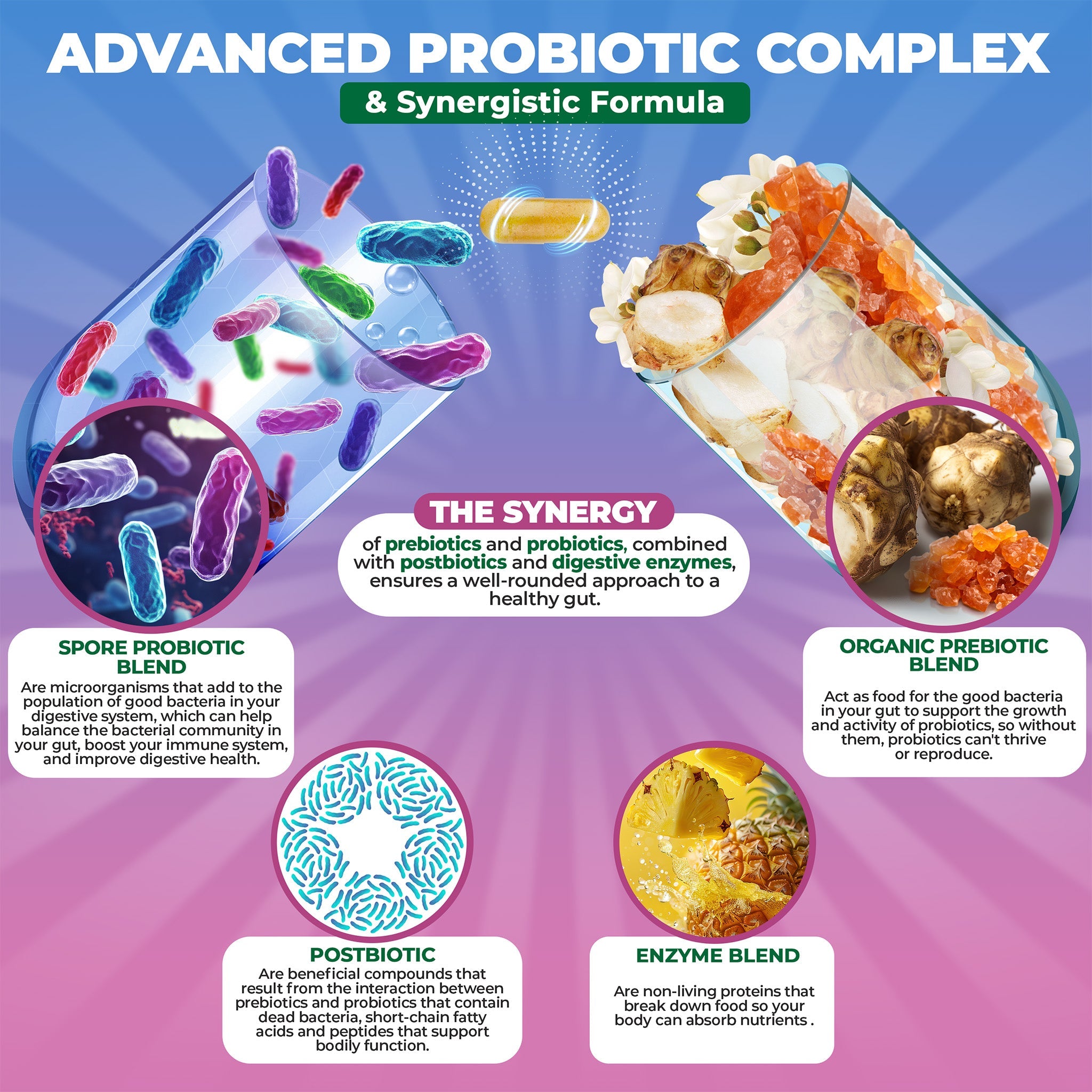 Spore Probiotic Complex with Prebiotics