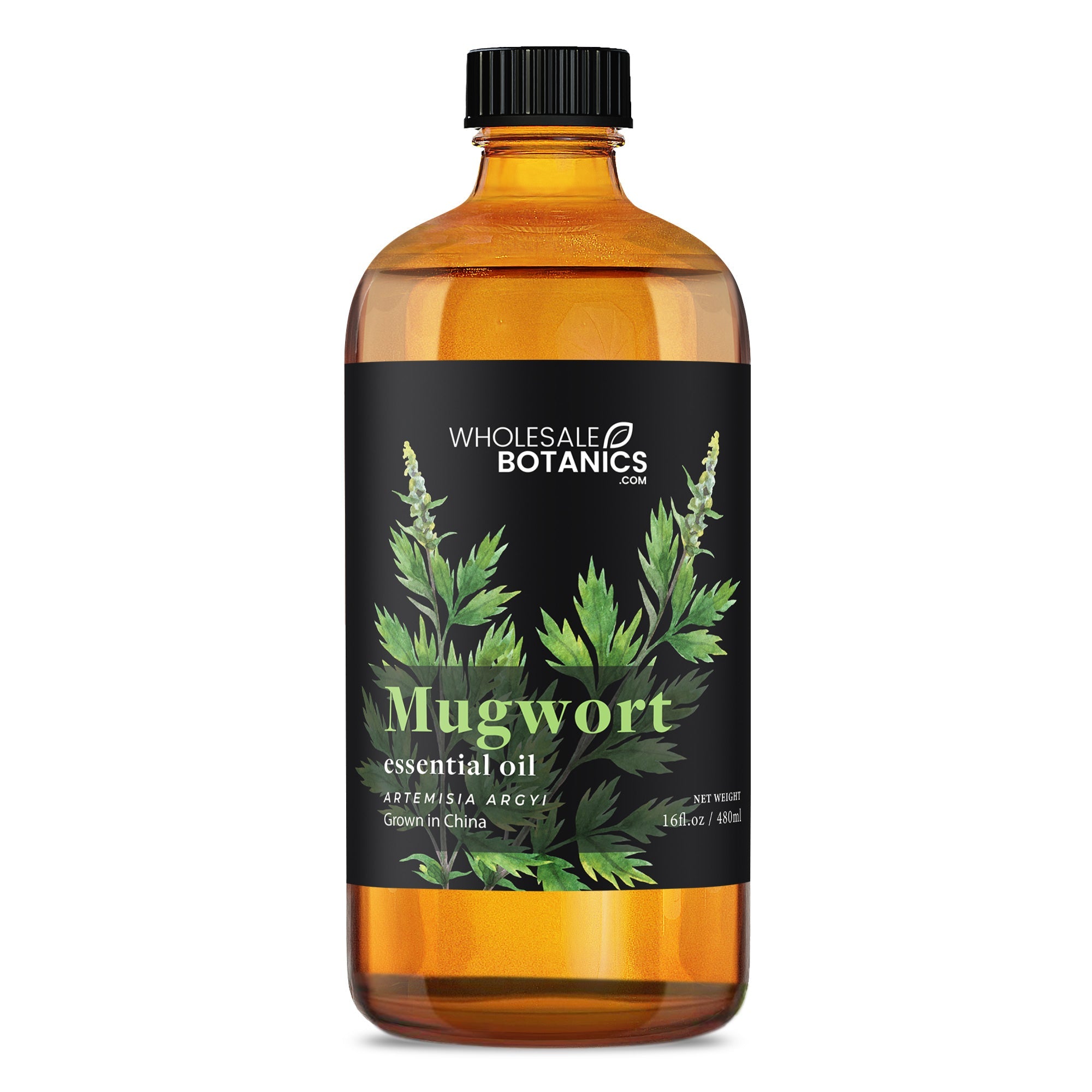 Mugwort Essential Oil