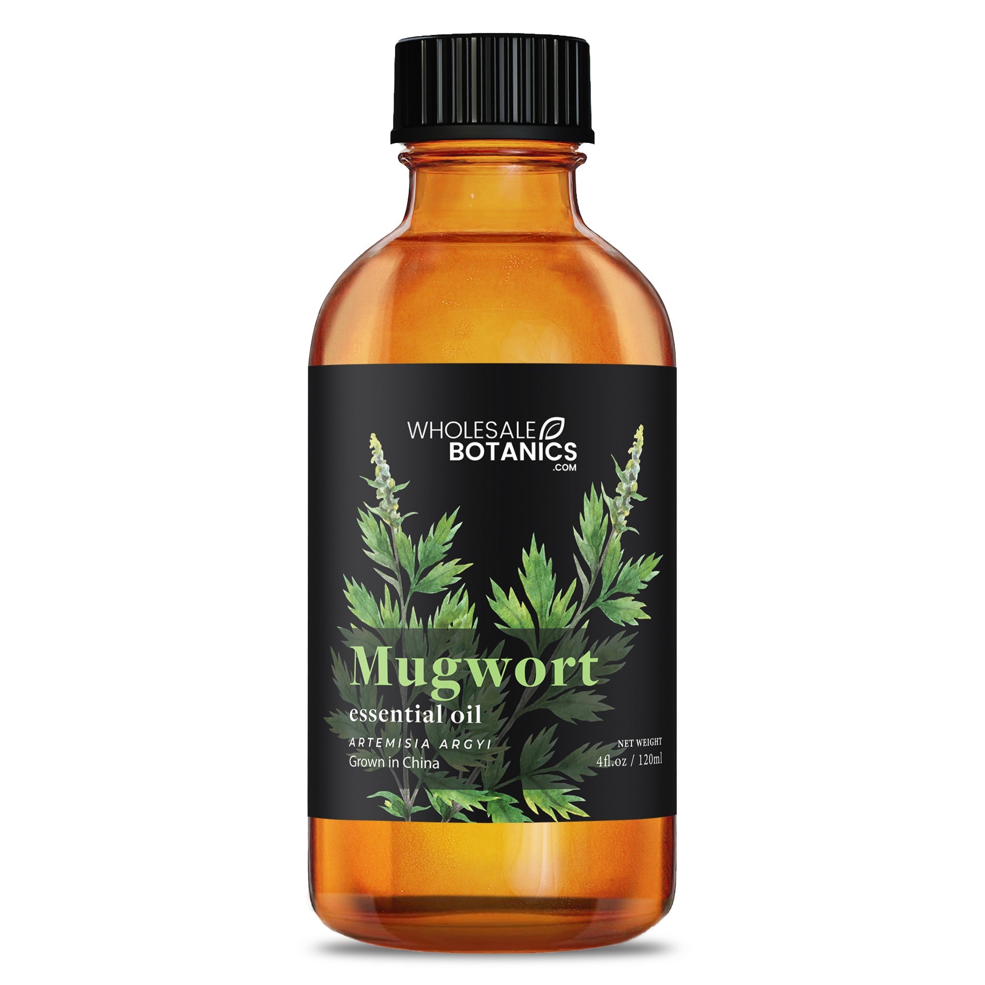 Mugwort Essential Oil