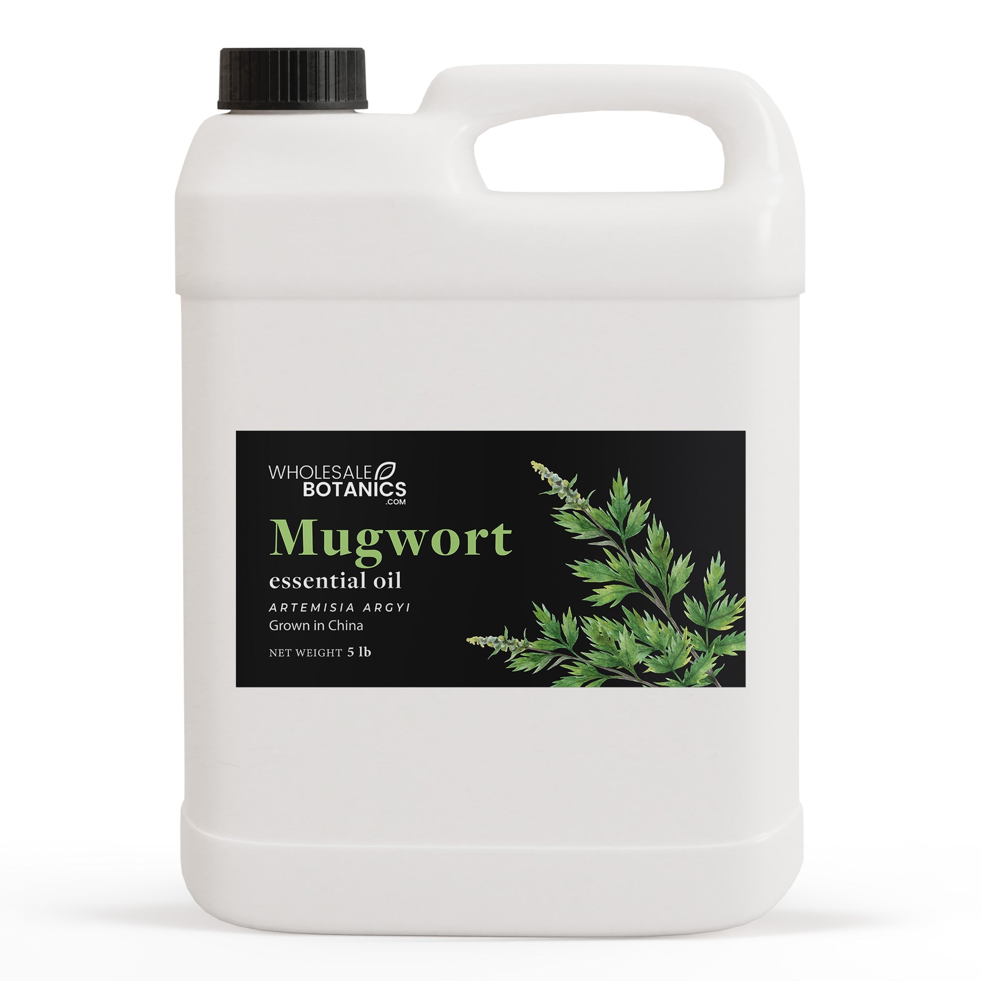 Mugwort Essential Oil