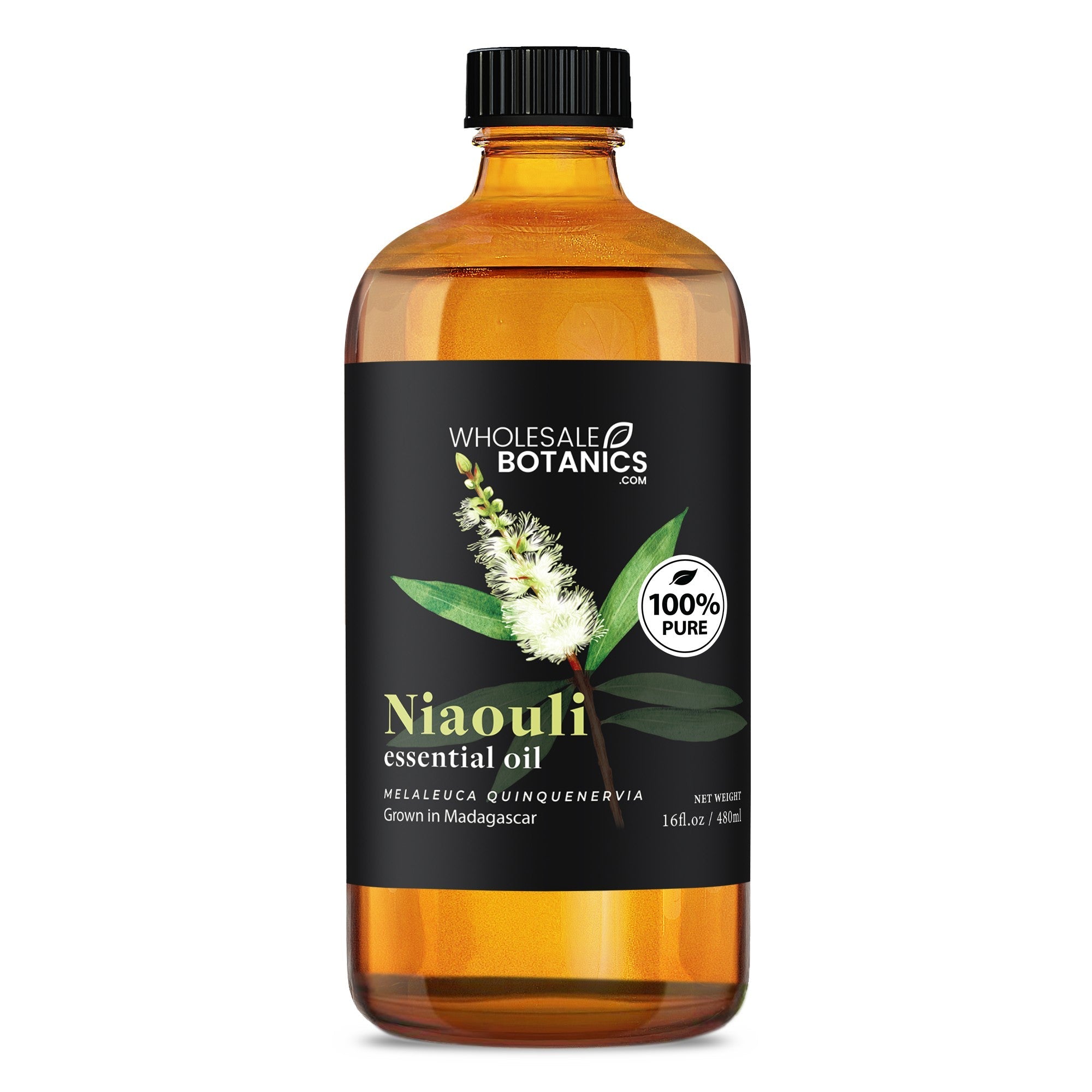 Niaouli Essential Oil