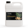 Olibanum Essential Oil