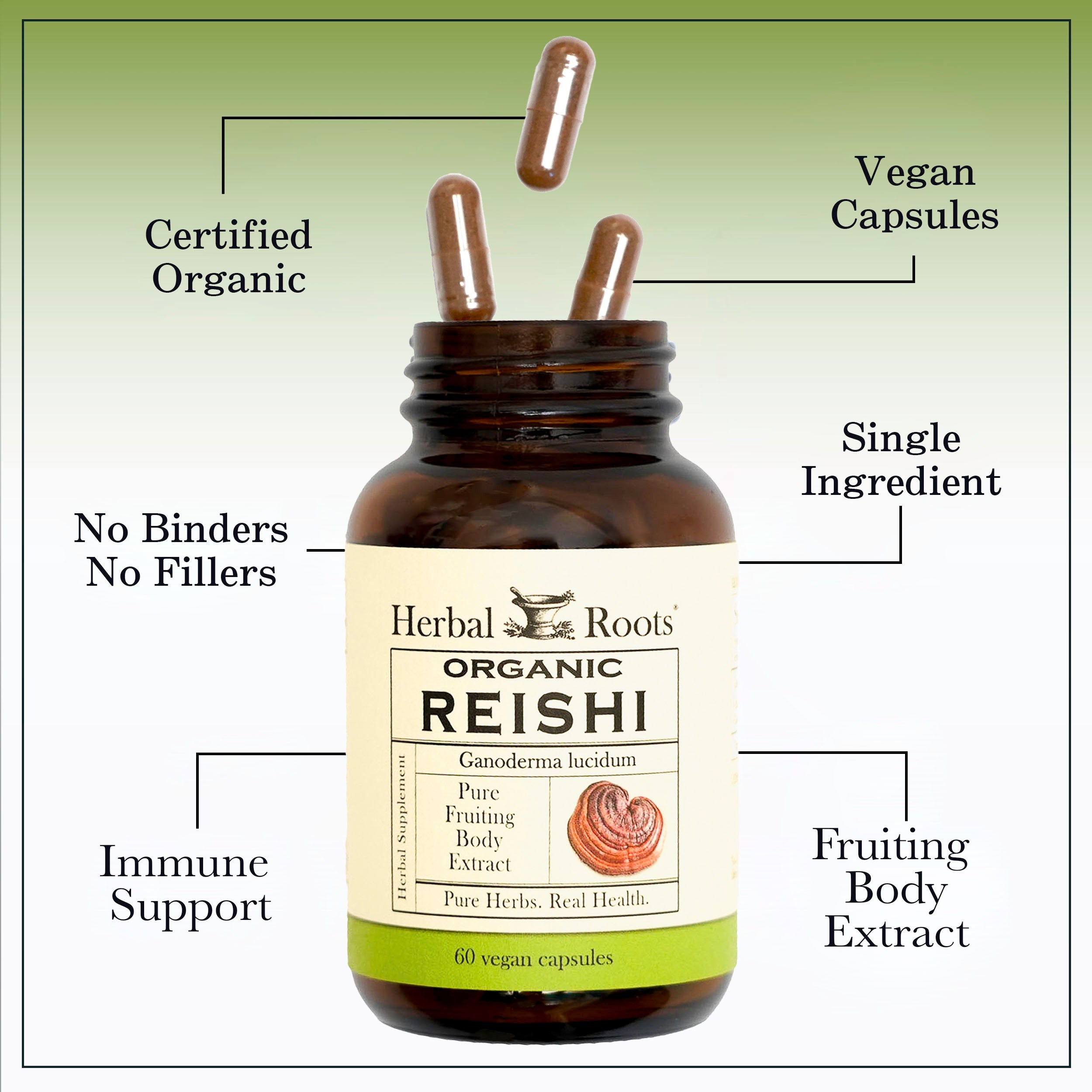 Organic Reishi Mushroom