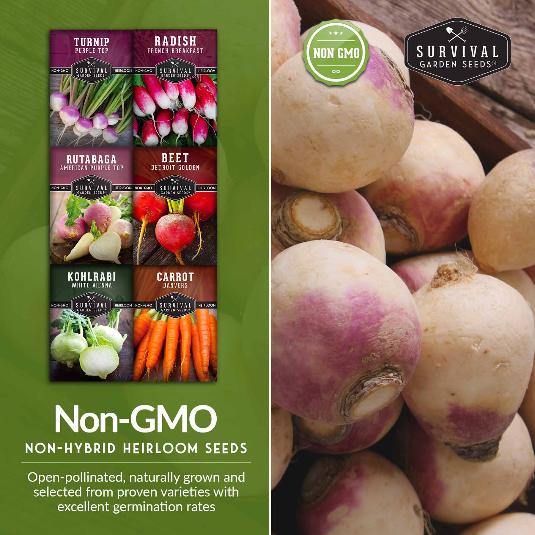 Root Vegetable Seed Collection – Cool-Season Carrots, Turnips, Radishes, Kohlrabi, Rutabagas & Golden Beets