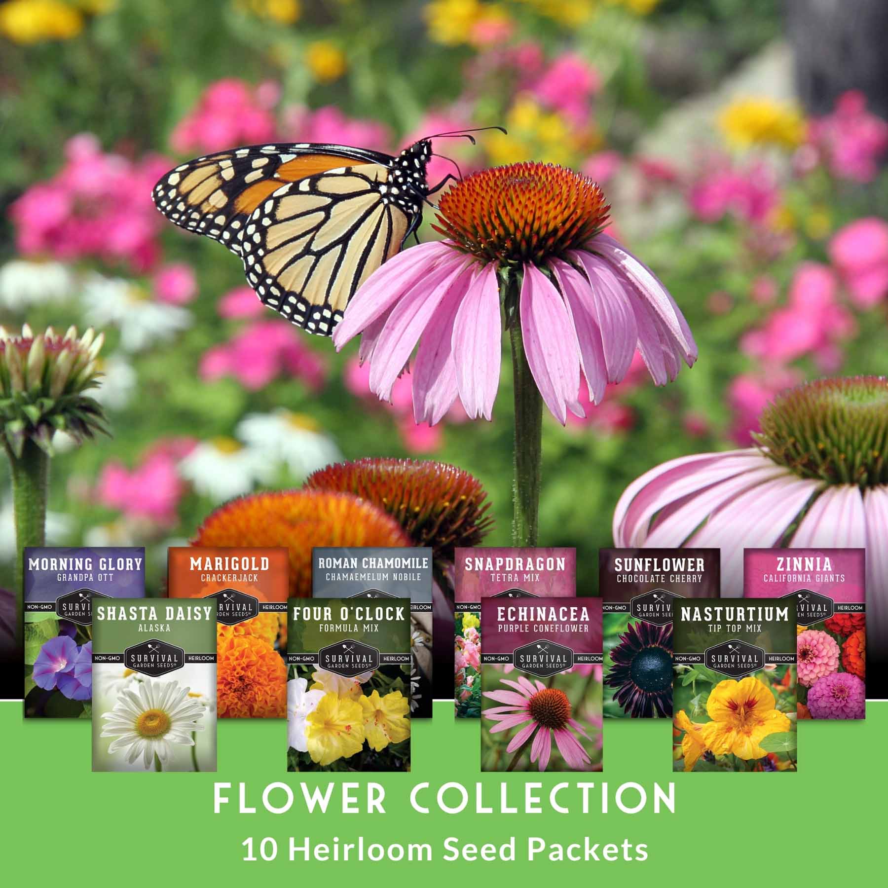 10-Variety Heirloom Flower Seed Collection – Non-GMO Annuals & Perenni –  Black Hills Health Retreat