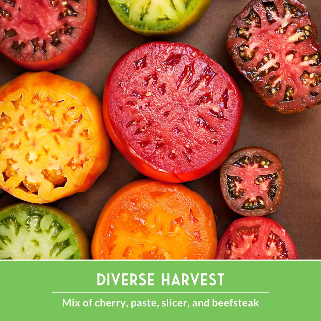 10 Tomato Seed Collection – Heirloom & Garden Favorites for Slicing, Sauces, Canning & Fresh Eating