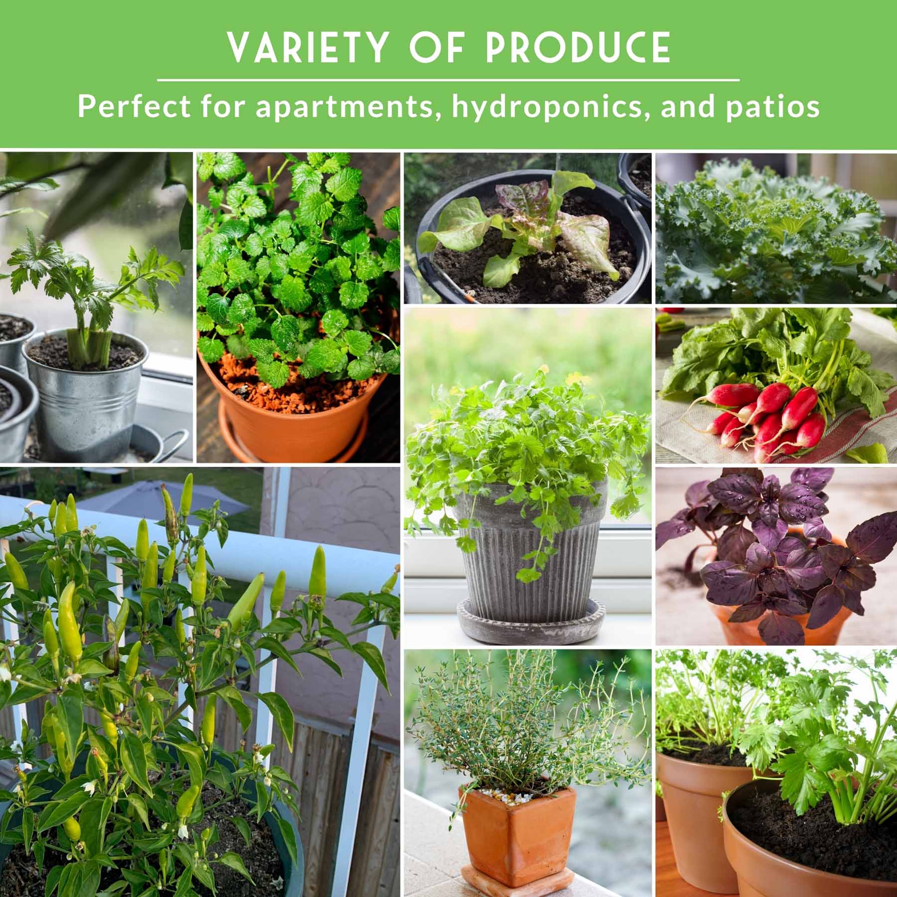 20 Variety Apartment Kit Seed Vault – Non-GMO Heirloom Seeds for Hydroponic & Indoor Small-Space Gardening