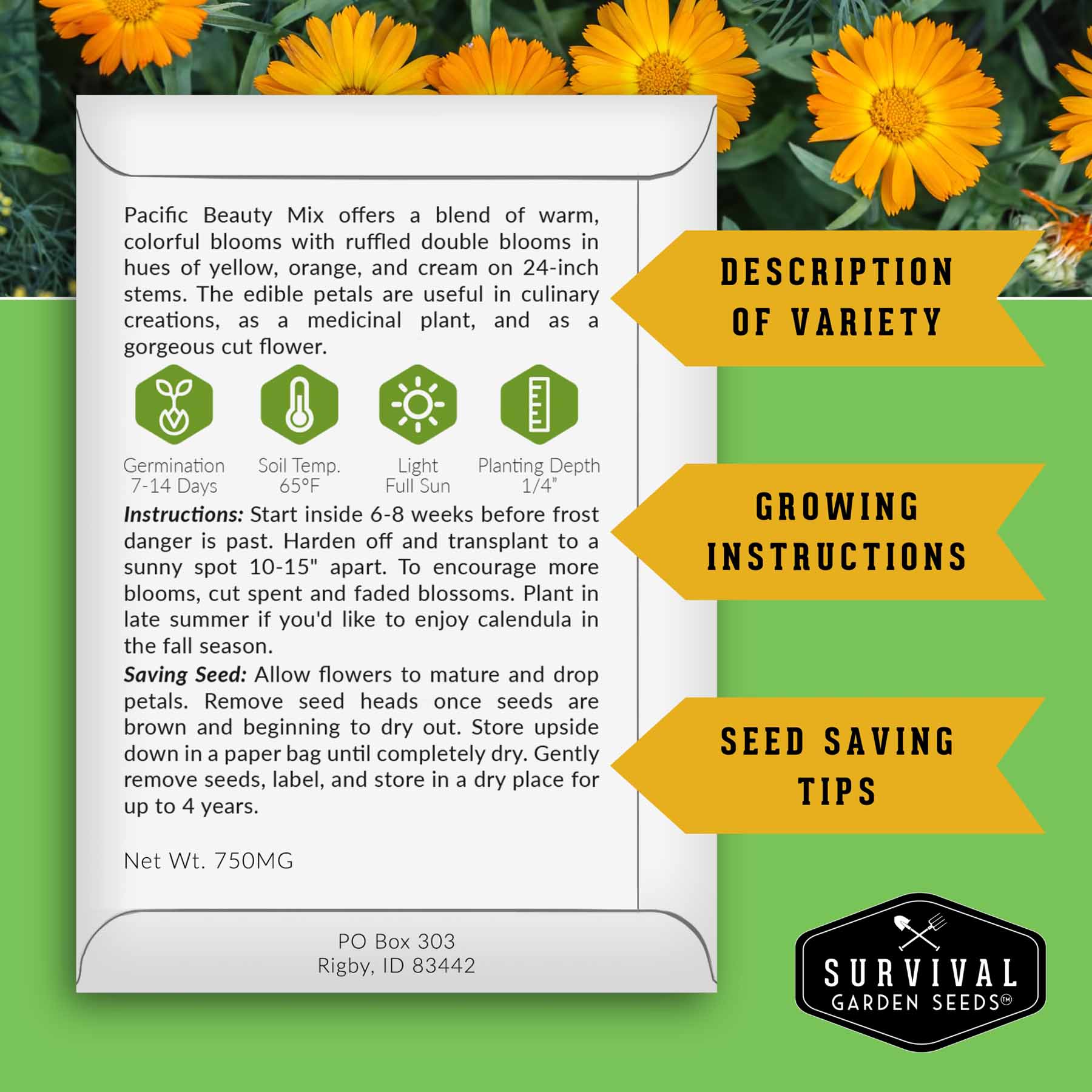 Calendula Seed Collection – Pacific Beauty, Apricot Beauty, Balls Orange & Greenheart for Colorful, Herbal Blooms