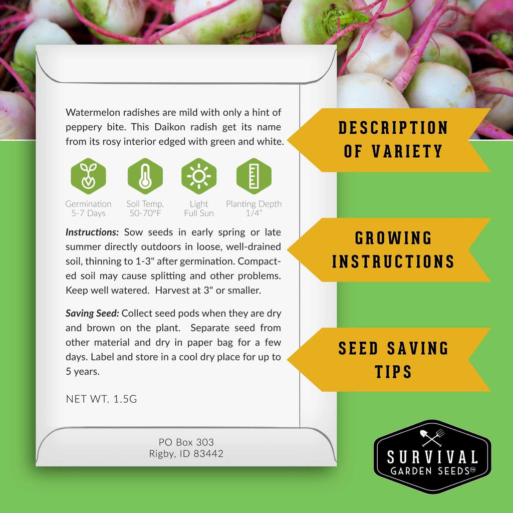 Rare Exotic Vegetable & Fruit Seeds – 6 Variety Heirloom Pack with Romanesco Broccoli, Watermelon Radish, Lemon Cucumber, and More