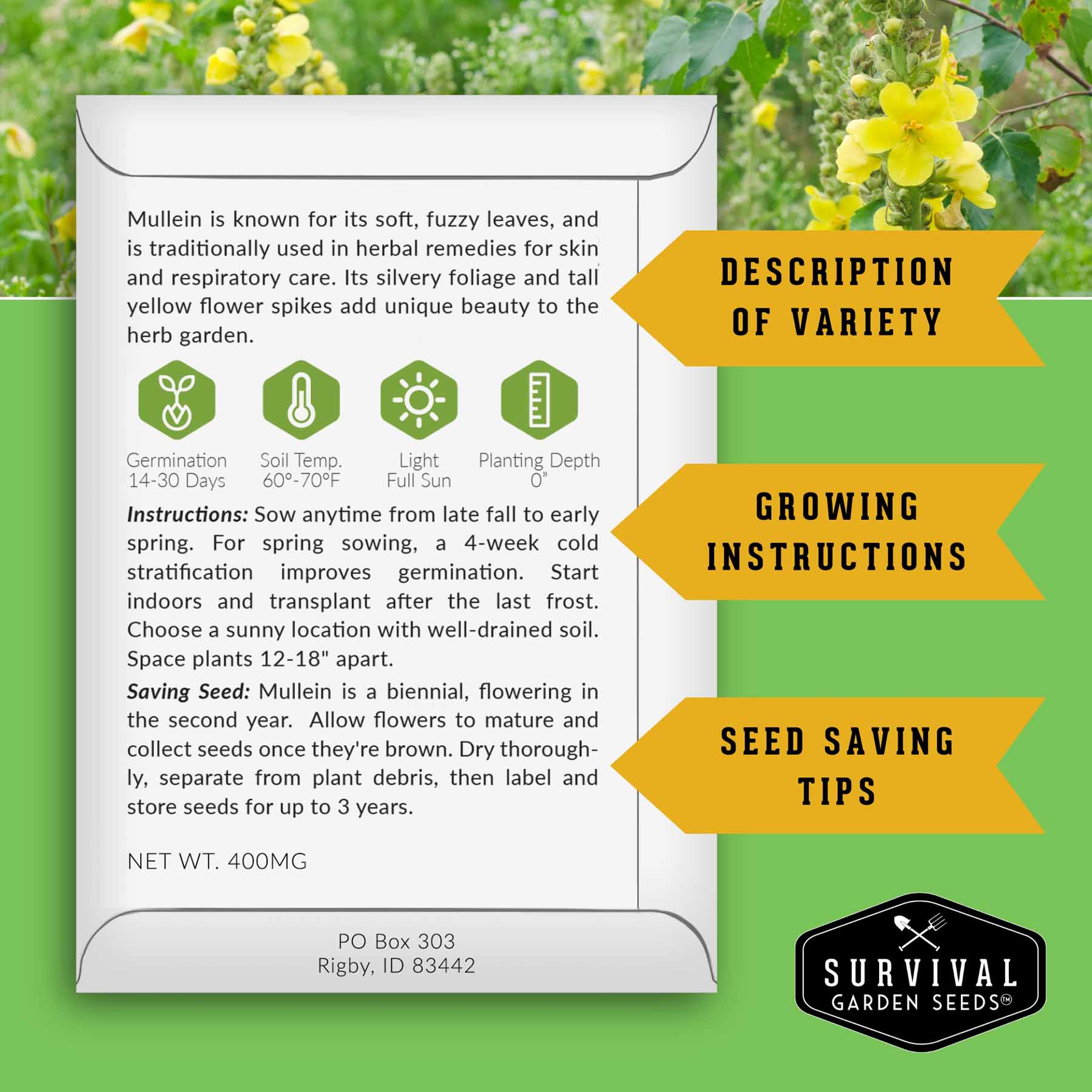 Herbalist Bundle – 8-Varieties of Heirloom Perennial & Biennial Healing Plants for Advanced Apothecary Gardens