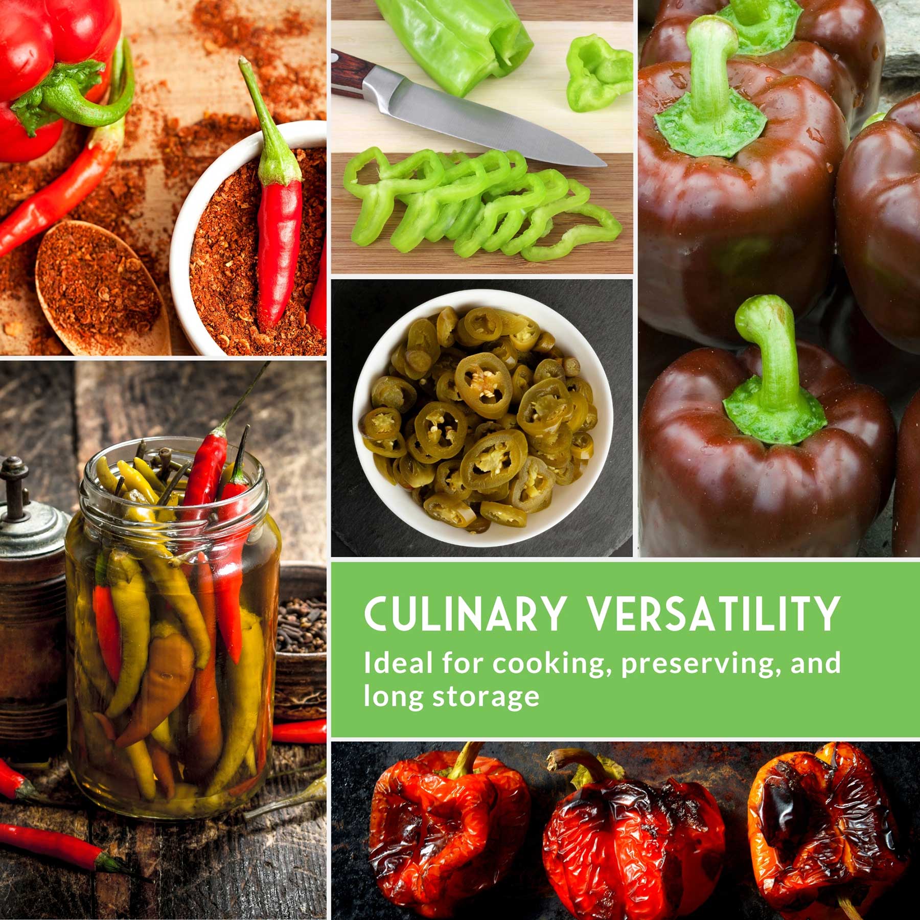 Eight Pepper Seed Collection – Heirloom Non-GMO Sweet & Hot Pepper Varieties for Home Gardening and Food Preservation