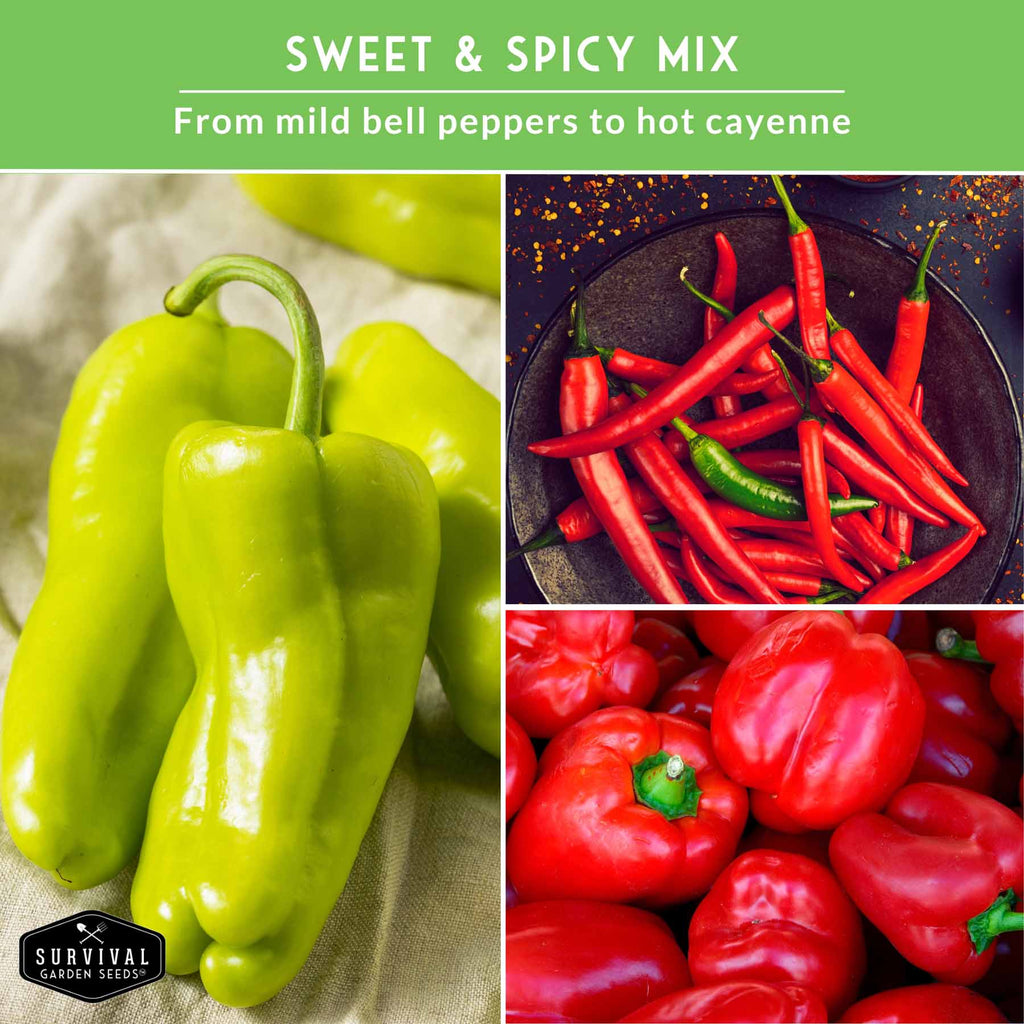 Eight Pepper Seed Collection – Heirloom Non-GMO Sweet & Hot Pepper Varieties for Home Gardening and Food Preservation