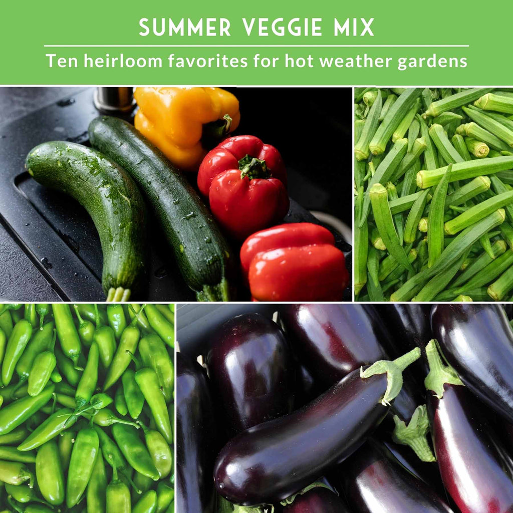 Summer Vegetable Seed Collection – Easy-Growing Tomatoes, Peppers, Beans, Cucumbers, Eggplant & Zucchini