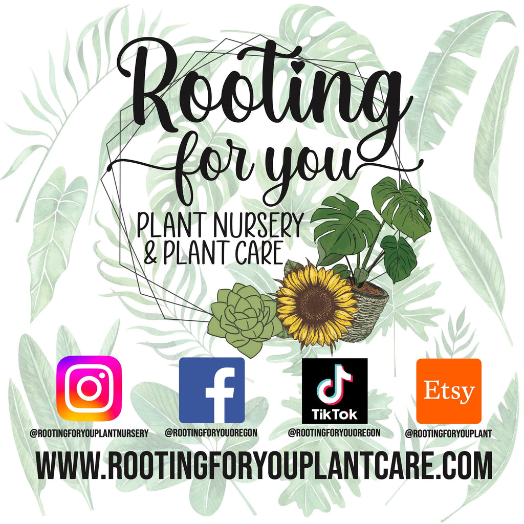 Clover Premium Potting Mix