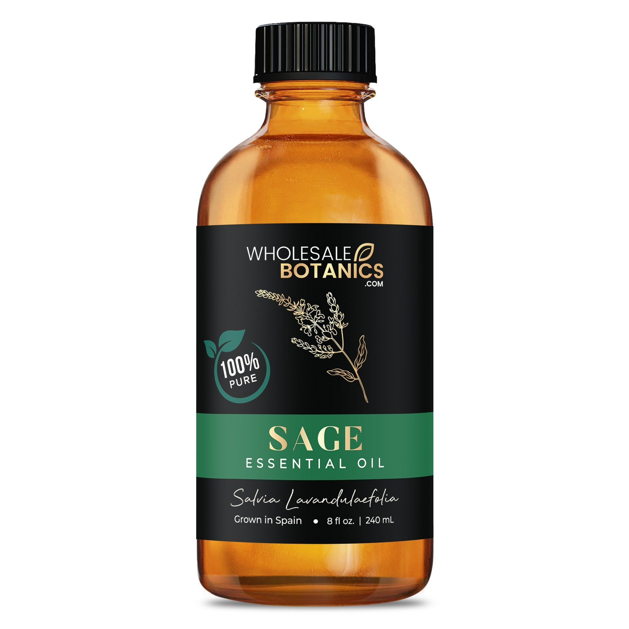 Sage Essential Oil