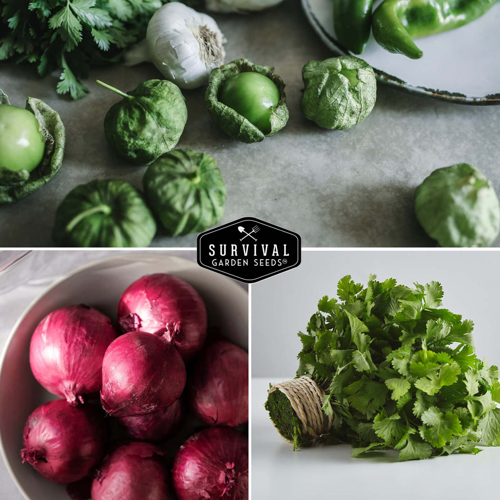 Salsa Garden Seed Collection – 5 Heirloom Non-GMO Varieties for Homemade Red & Green Salsa, Fresh Cooking & Food Preservation