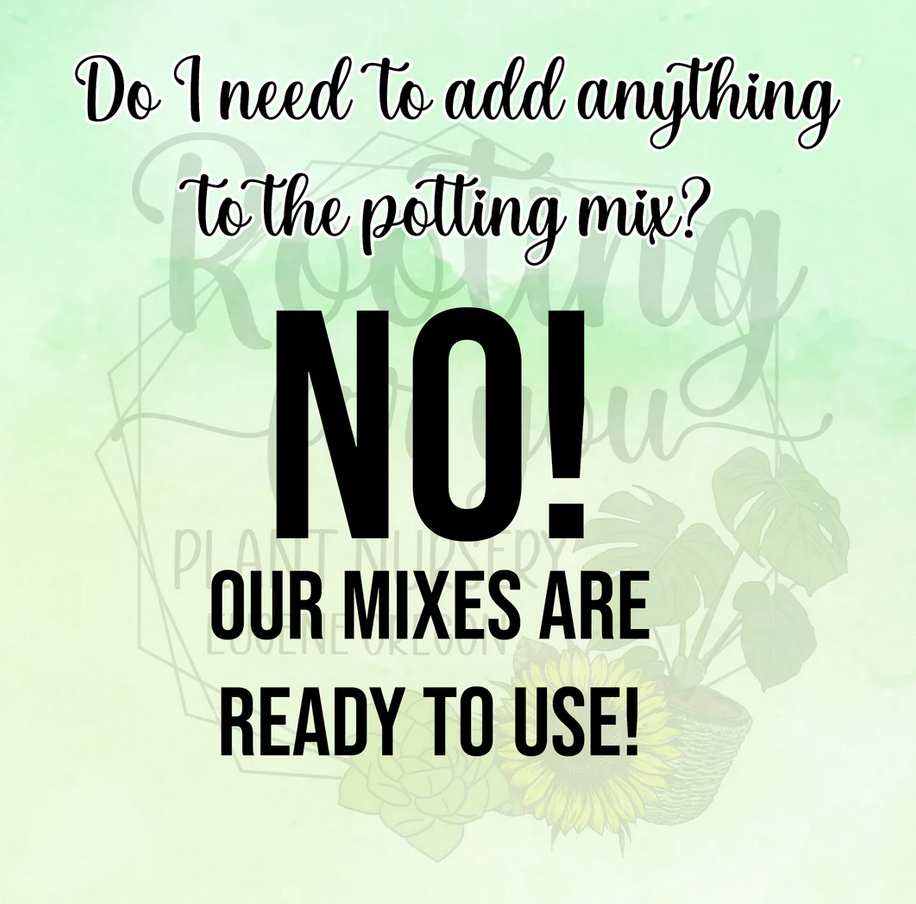 Rhododendron Premium Potting Mix