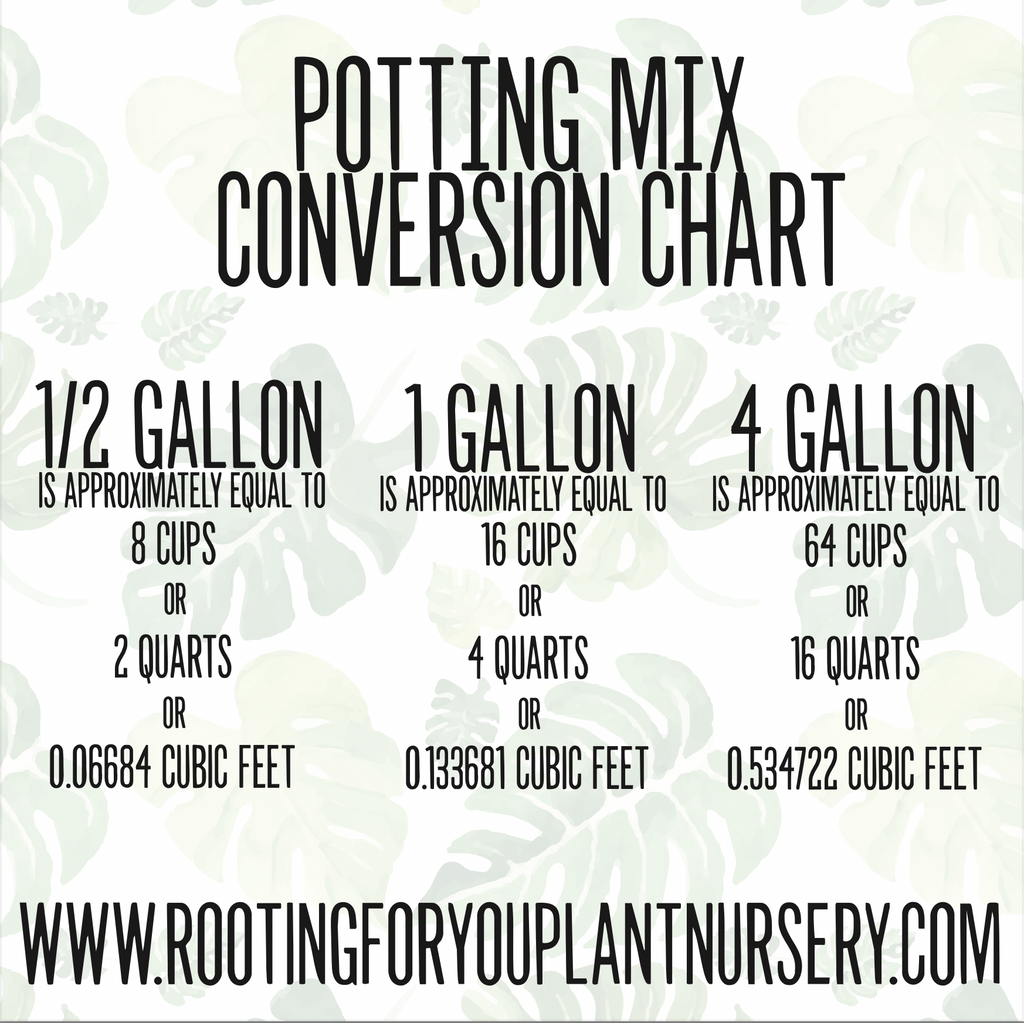 Dioscorea Premium Potting Mix