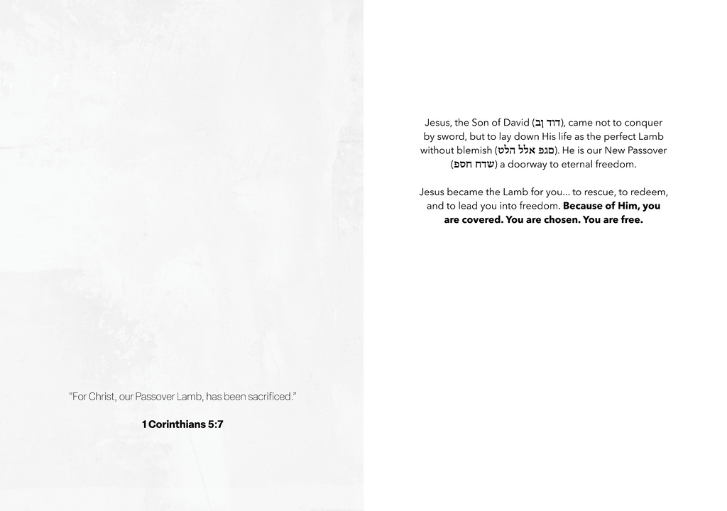 'The New Passover' Easter Greeting Card